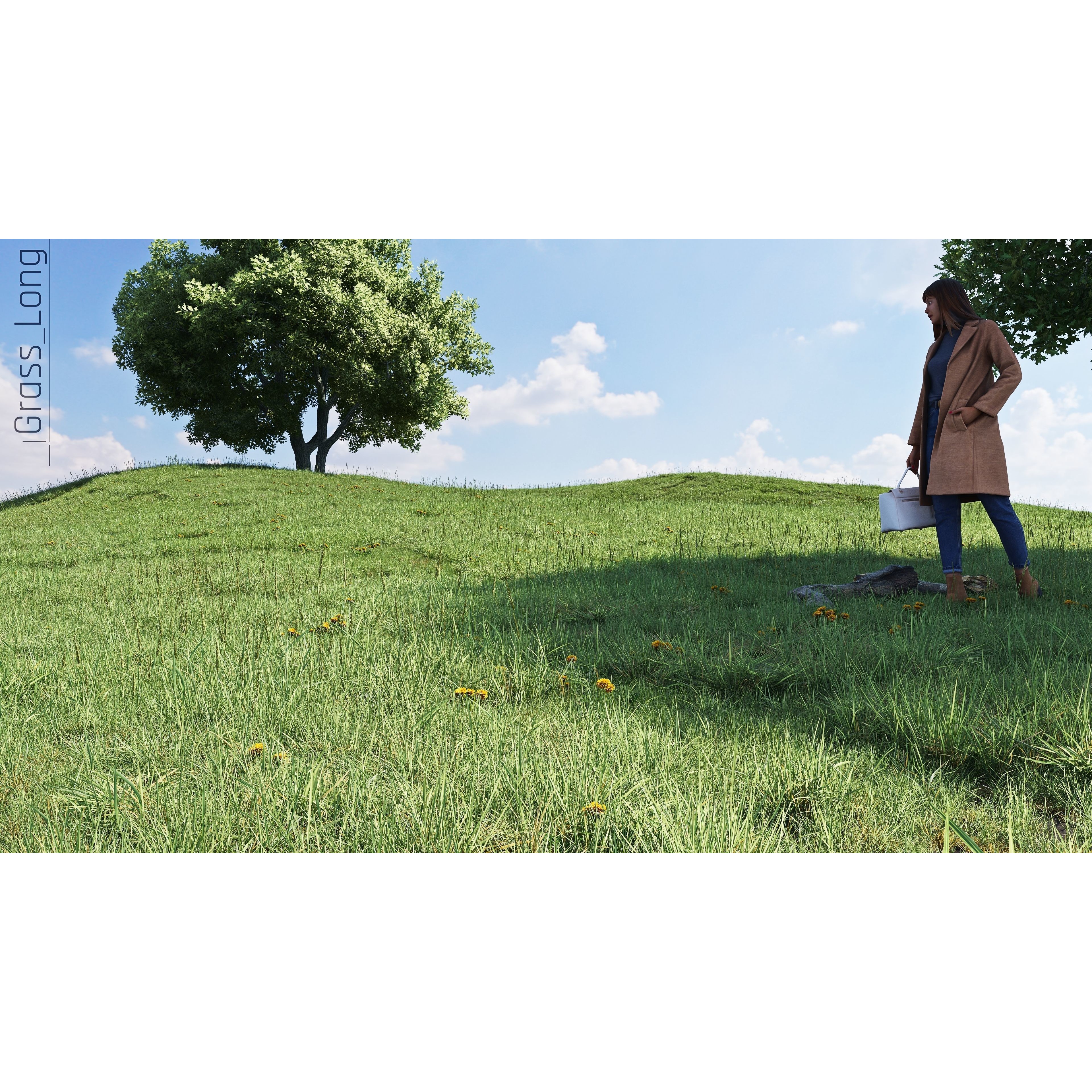 CGrass v2 - Realistic Grass Pack 3D Model - View 19