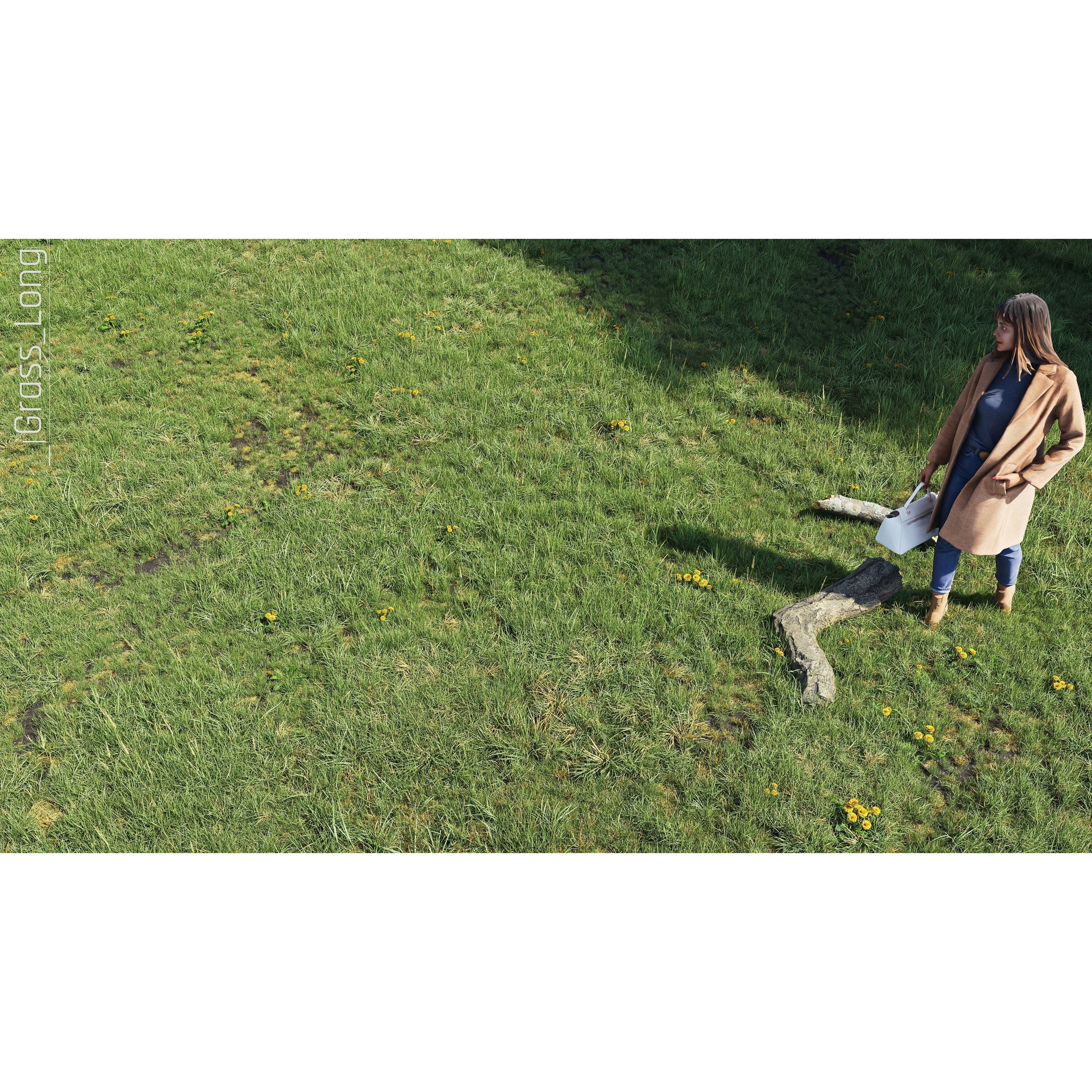 CGrass v2 - Realistic Grass Pack 3D Model - View 20