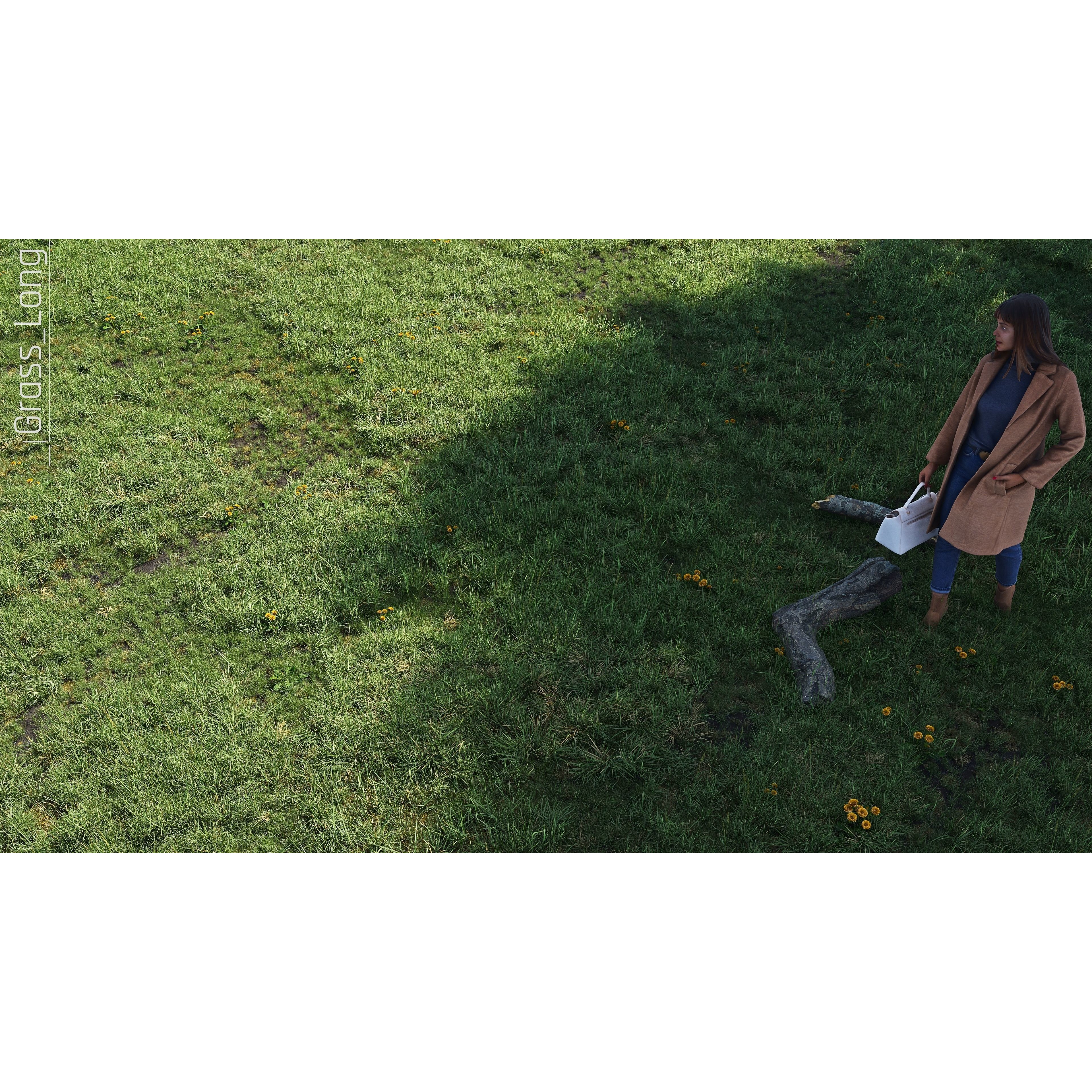 CGrass v2 - Realistic Grass Pack 3D Model - View 21