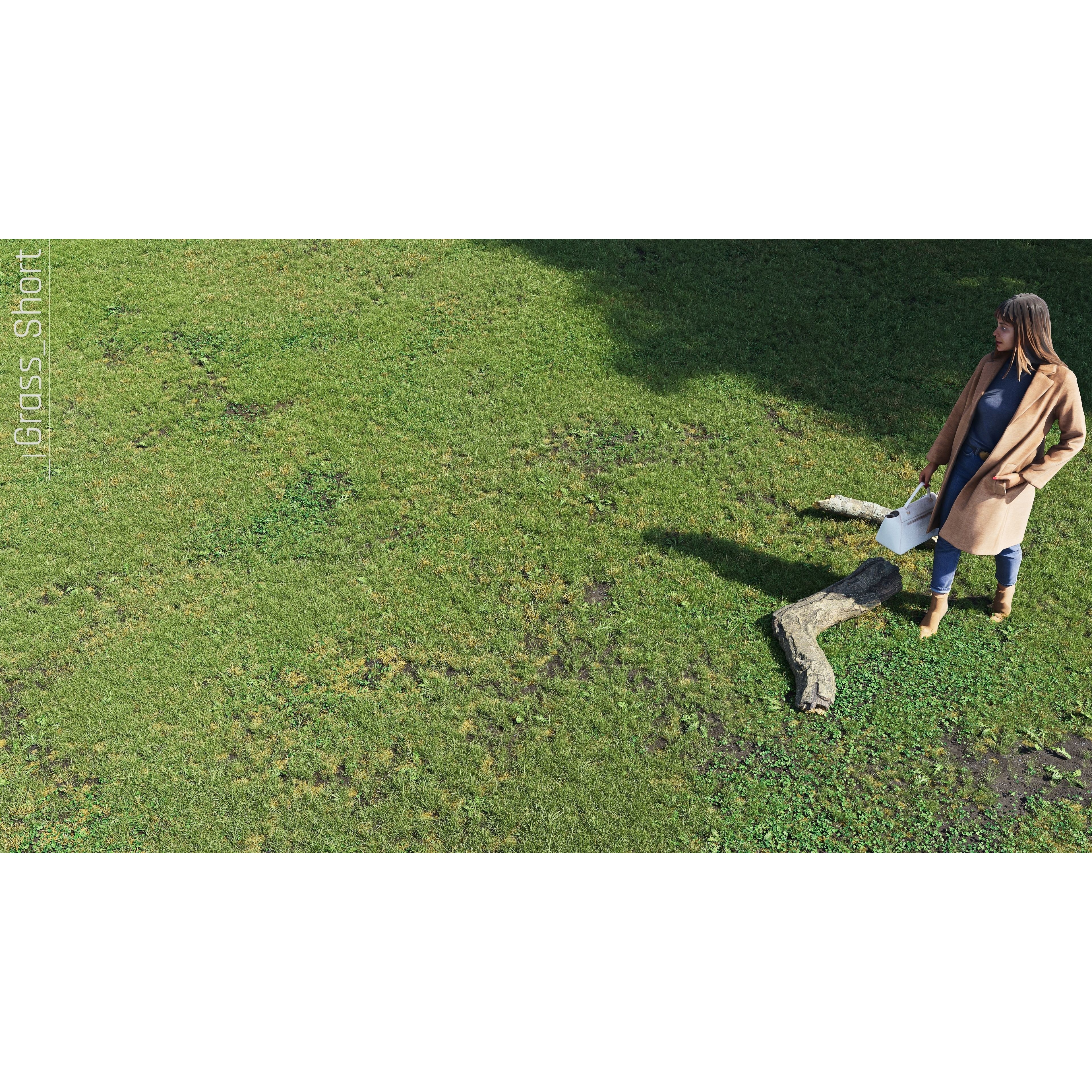 CGrass v2 - Realistic Grass Pack 3D Model - View 22