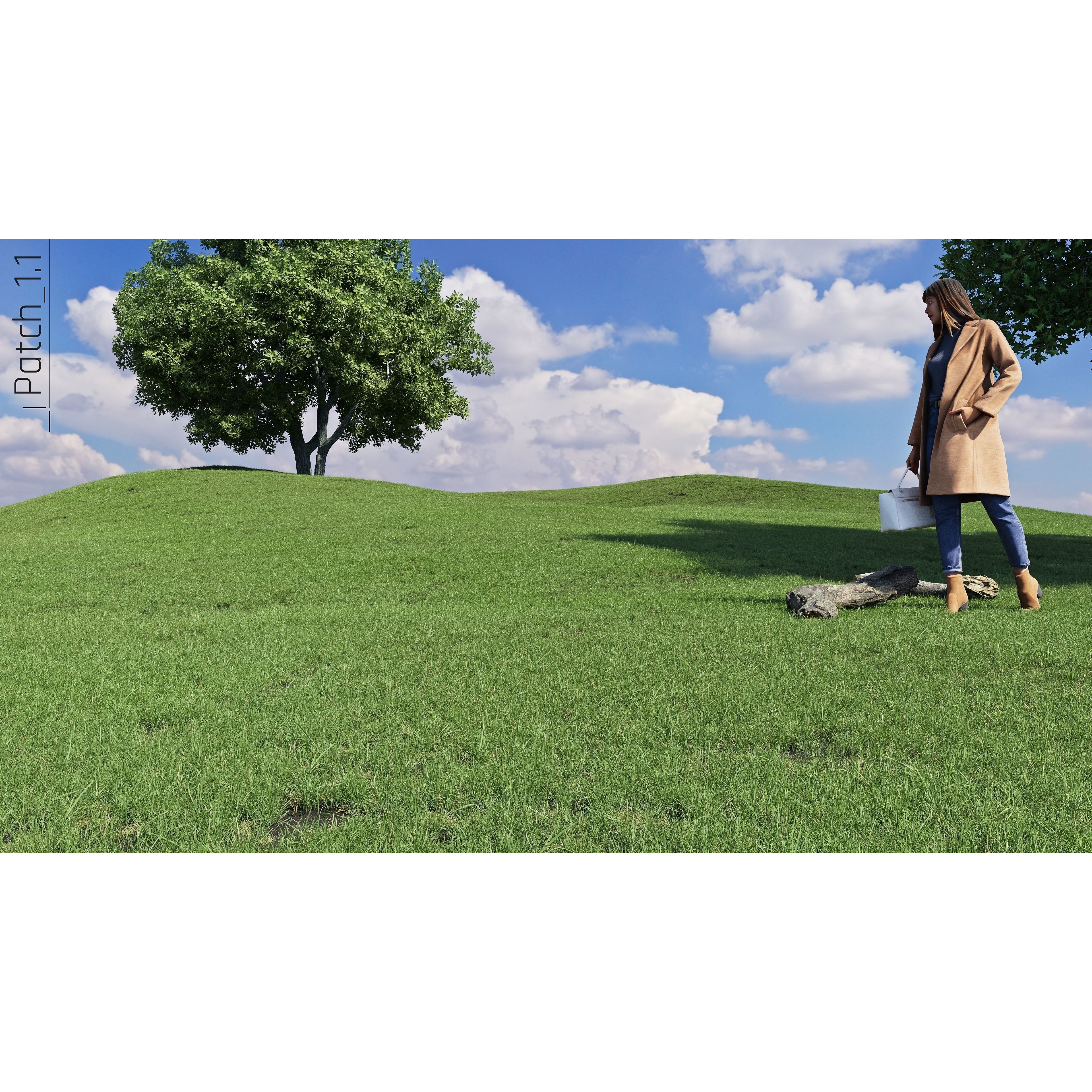 CGrass v2 - Realistic Grass Pack 3D Model - View 23