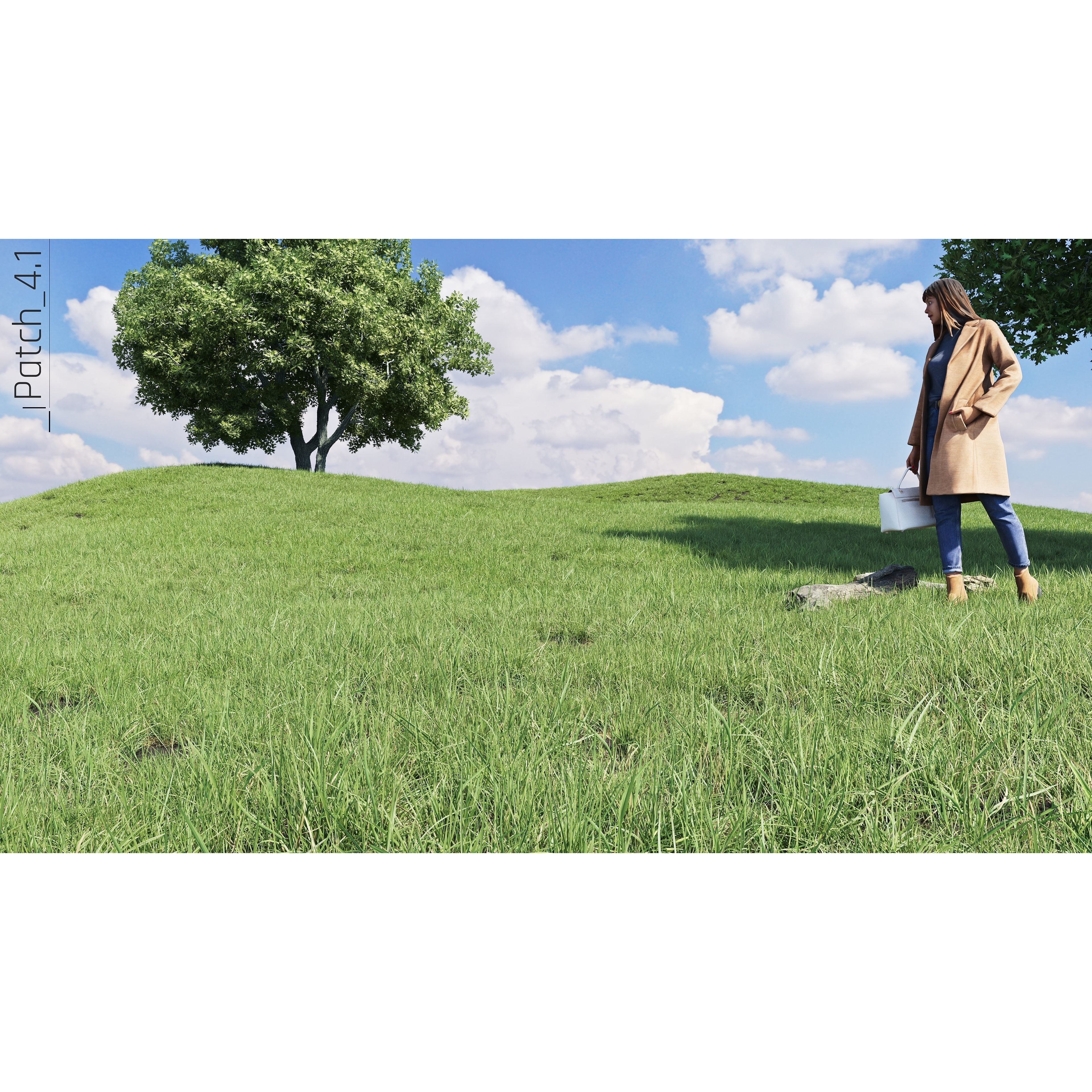CGrass v2 - Realistic Grass Pack 3D Model - View 24