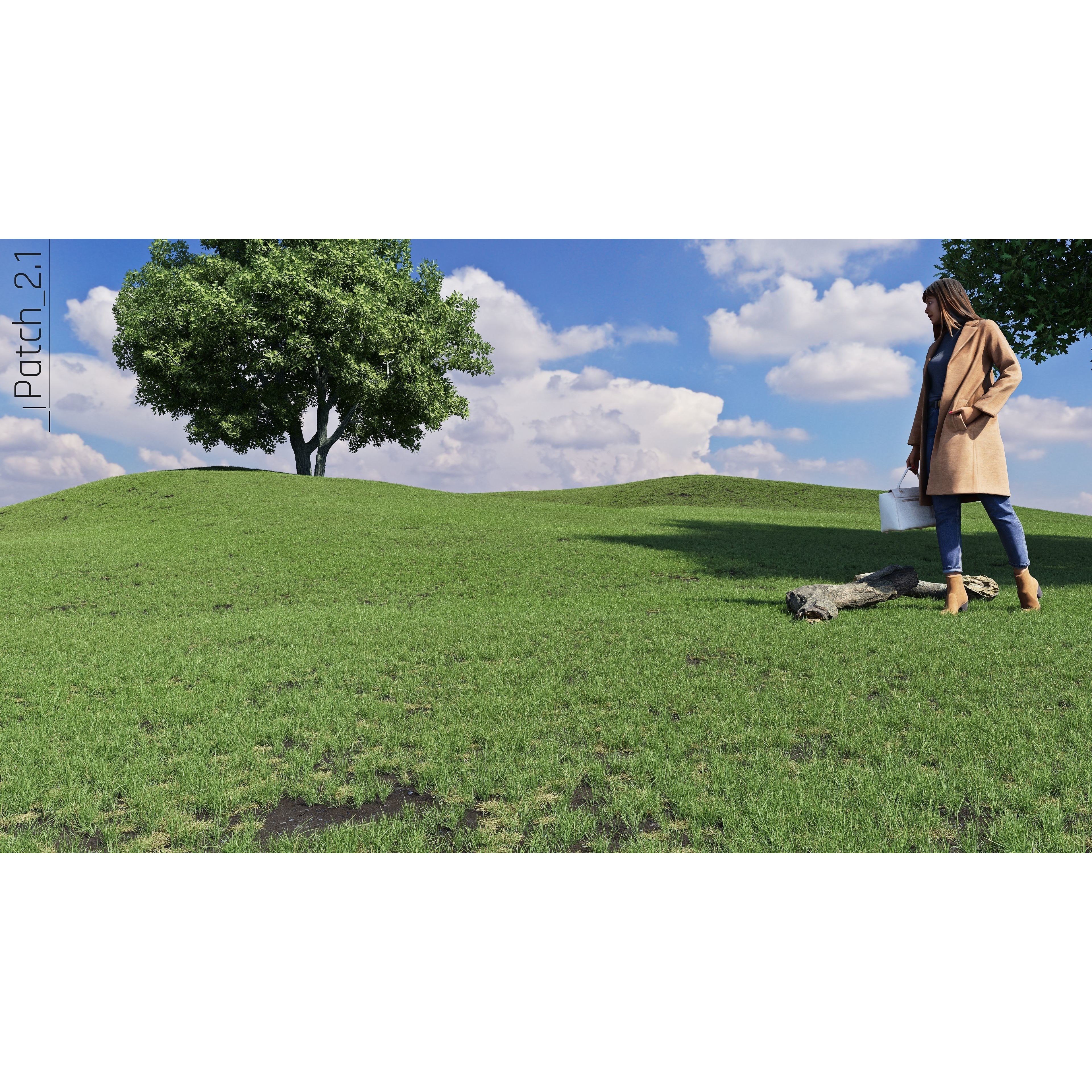 CGrass v2 - Realistic Grass Pack 3D Model - View 25