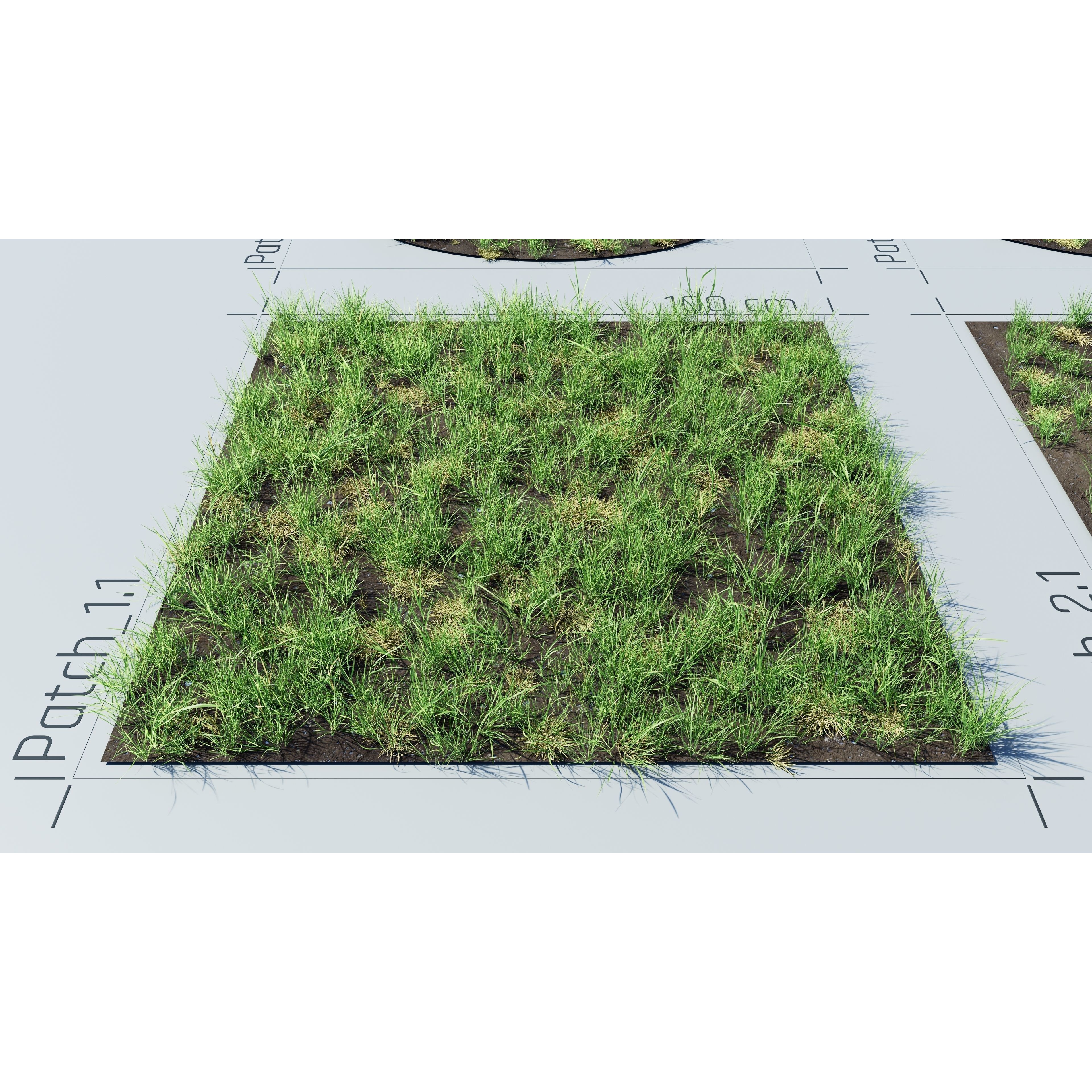 CGrass v2 - Realistic Grass Pack 3D Model - View 27