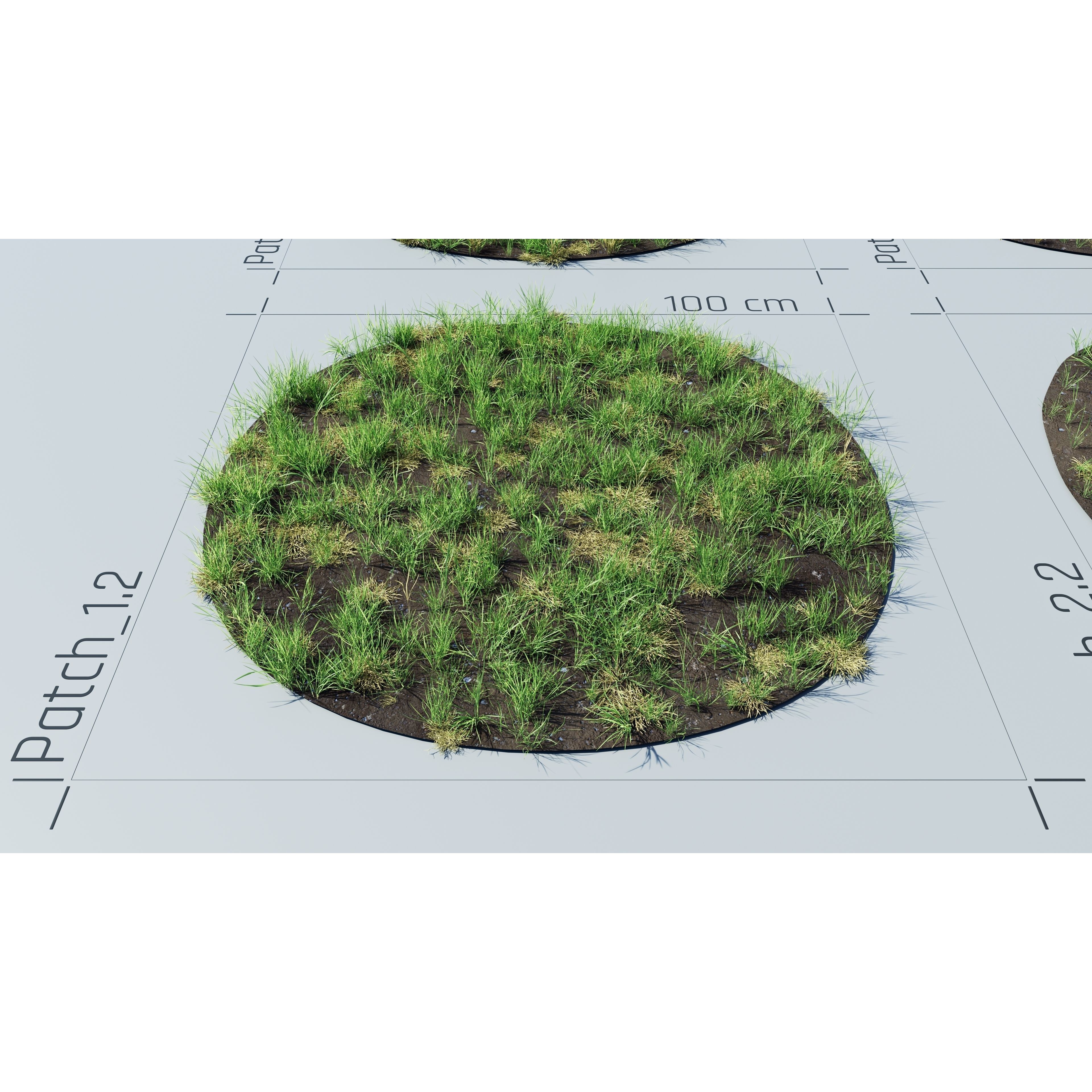 CGrass v2 - Realistic Grass Pack 3D Model - View 28