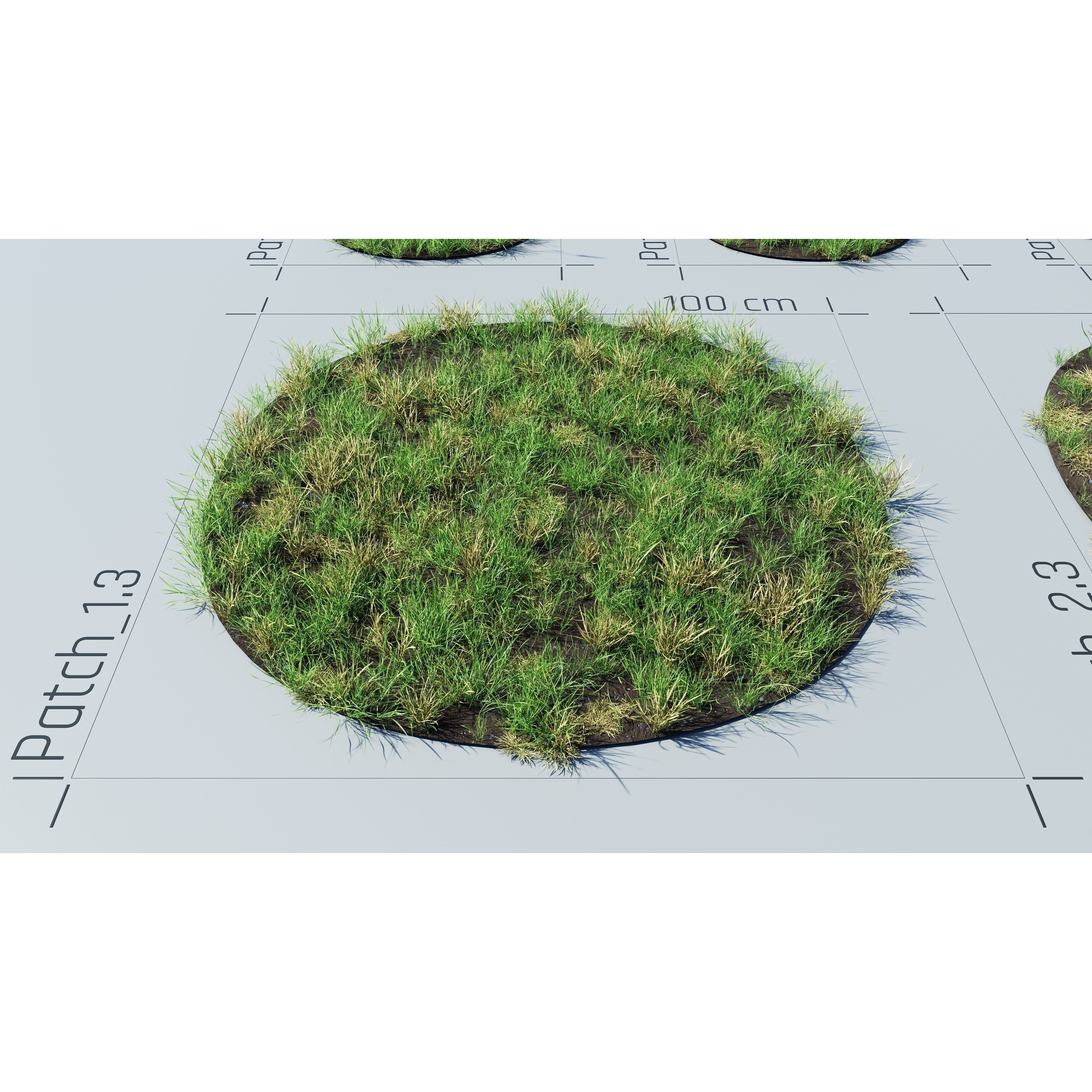 CGrass v2 - Realistic Grass Pack 3D Model - View 29