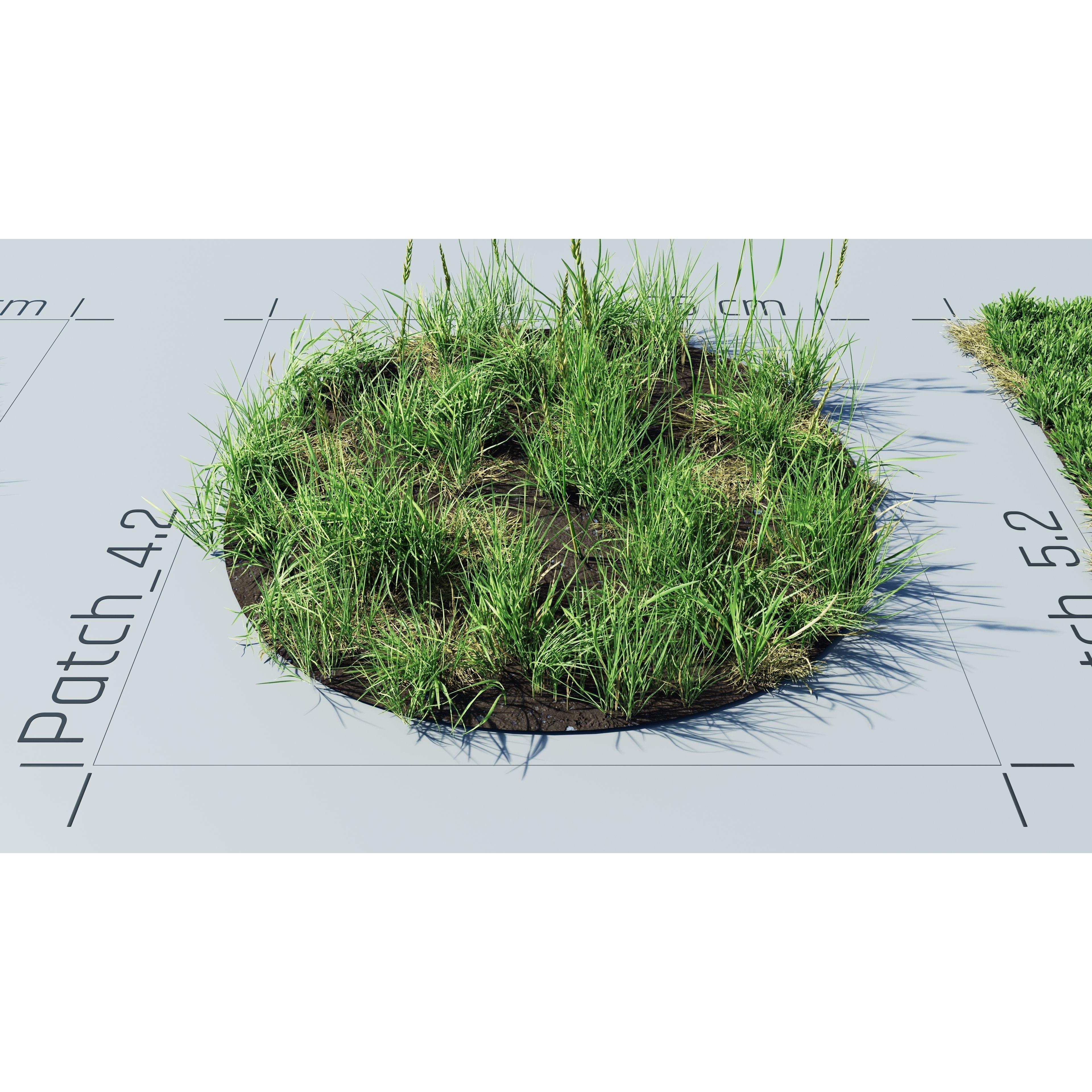 CGrass v2 - Realistic Grass Pack 3D Model - View 30