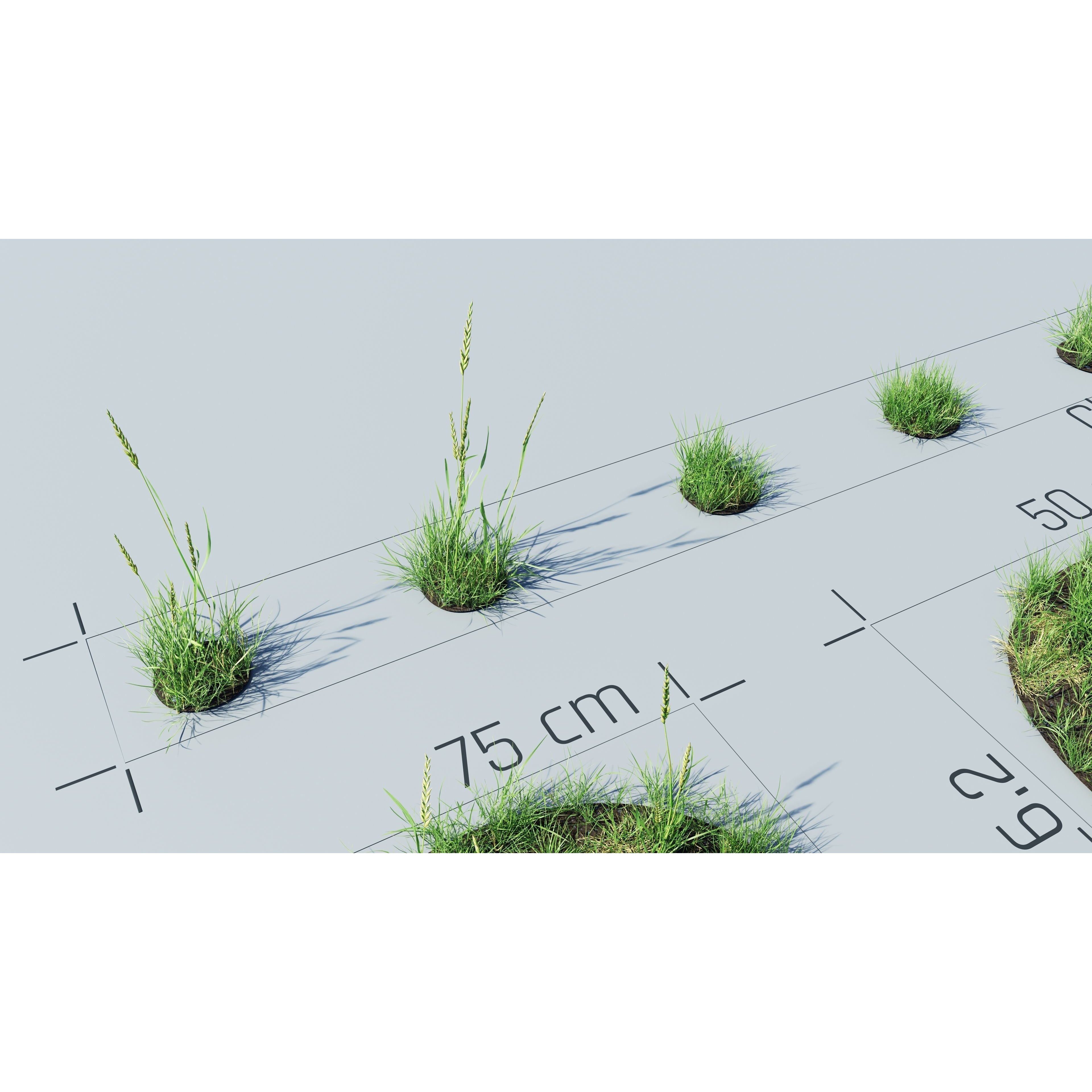 CGrass v2 - Realistic Grass Pack 3D Model - View 35