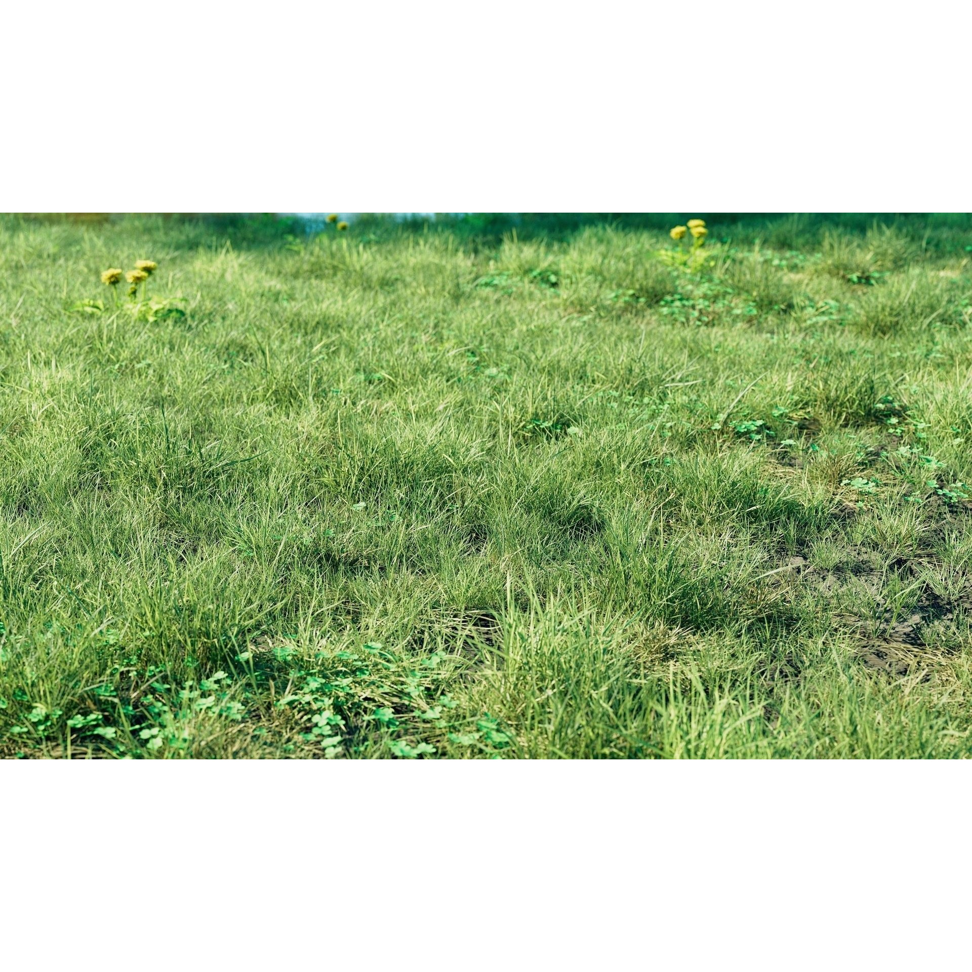 CGrass v2 - Realistic Grass Pack 3D Model - View 4