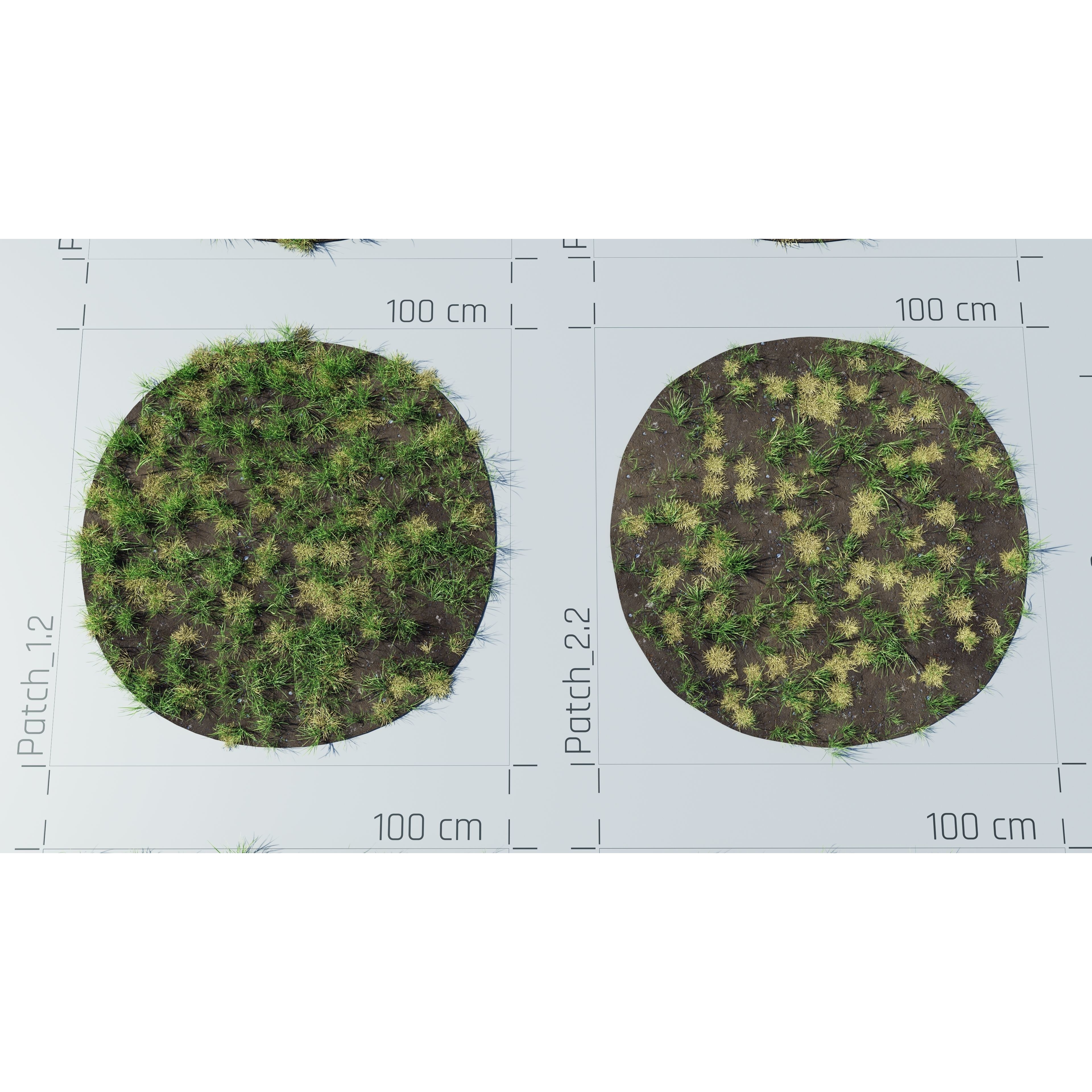 CGrass v2 - Realistic Grass Pack 3D Model - View 41