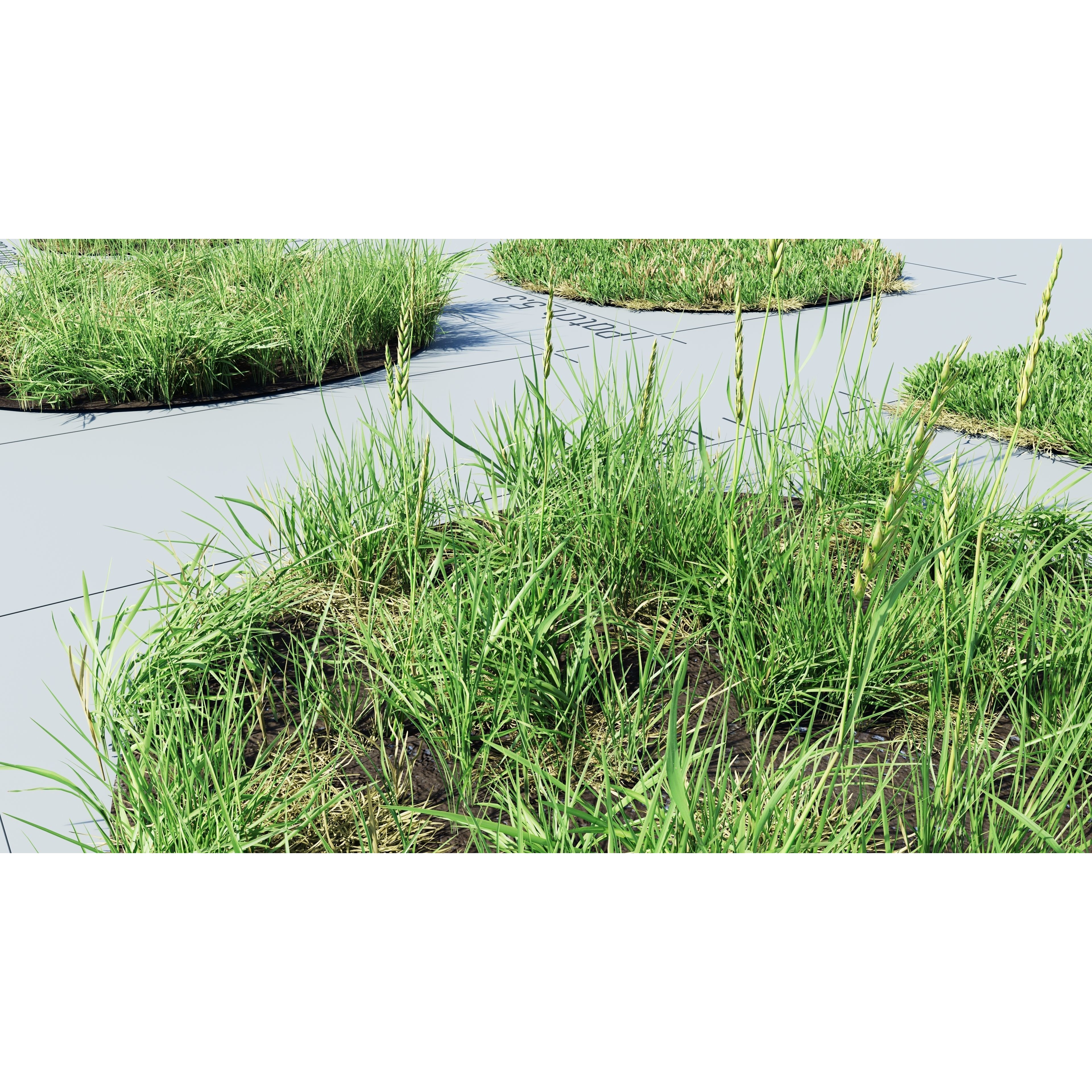 CGrass v2 - Realistic Grass Pack 3D Model - View 45