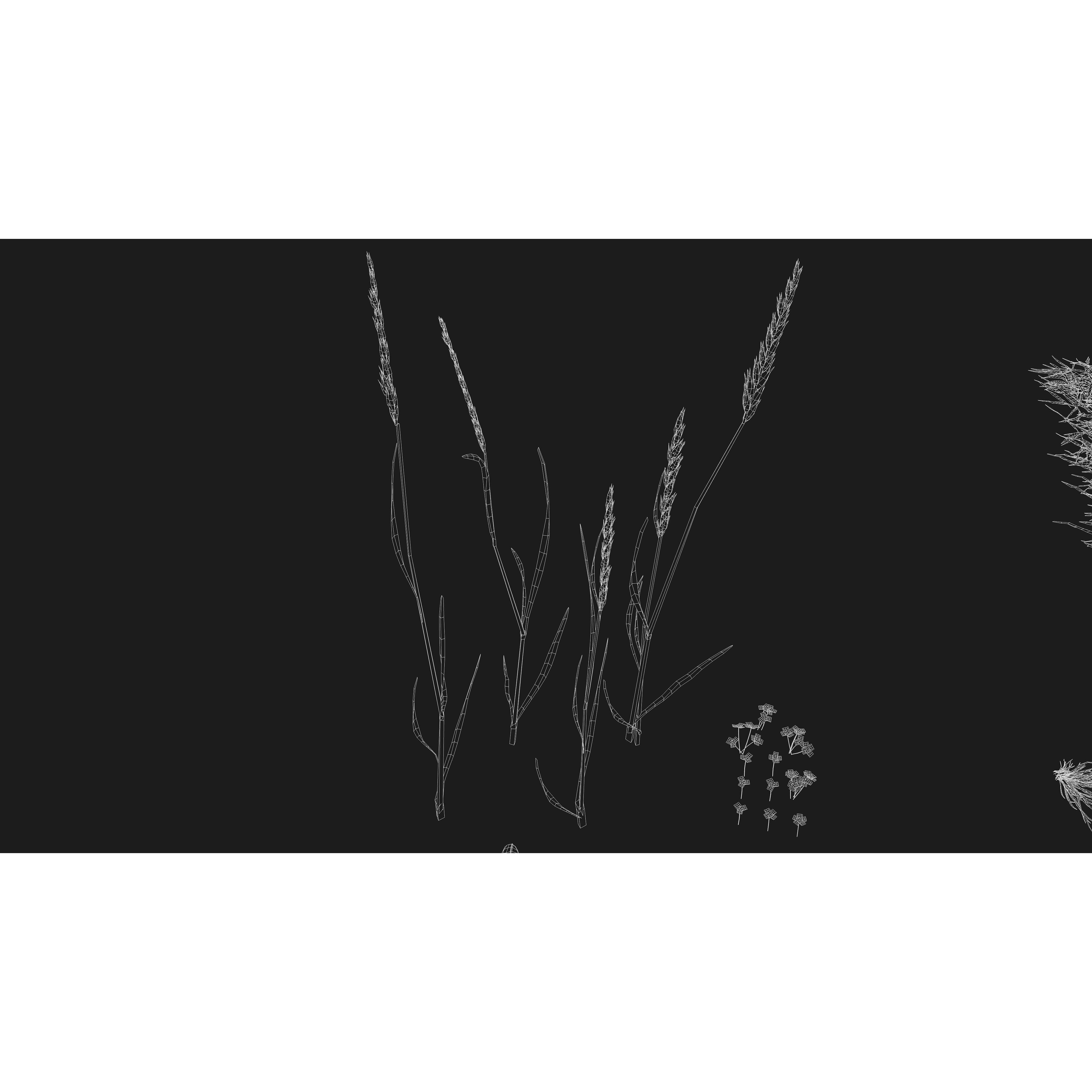 CGrass v2 - Realistic Grass Pack 3D Model - View 48