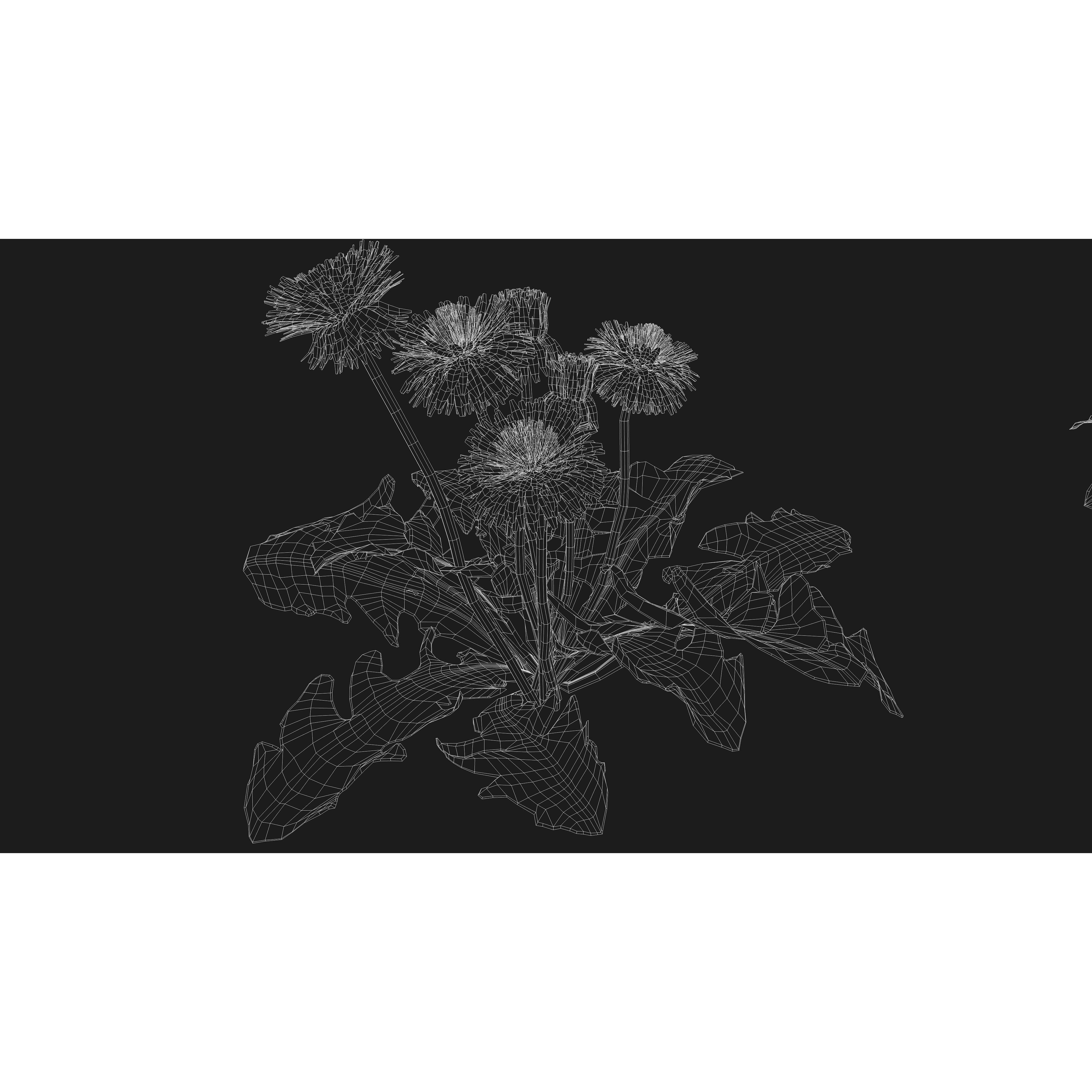 CGrass v2 - Realistic Grass Pack 3D Model - View 49