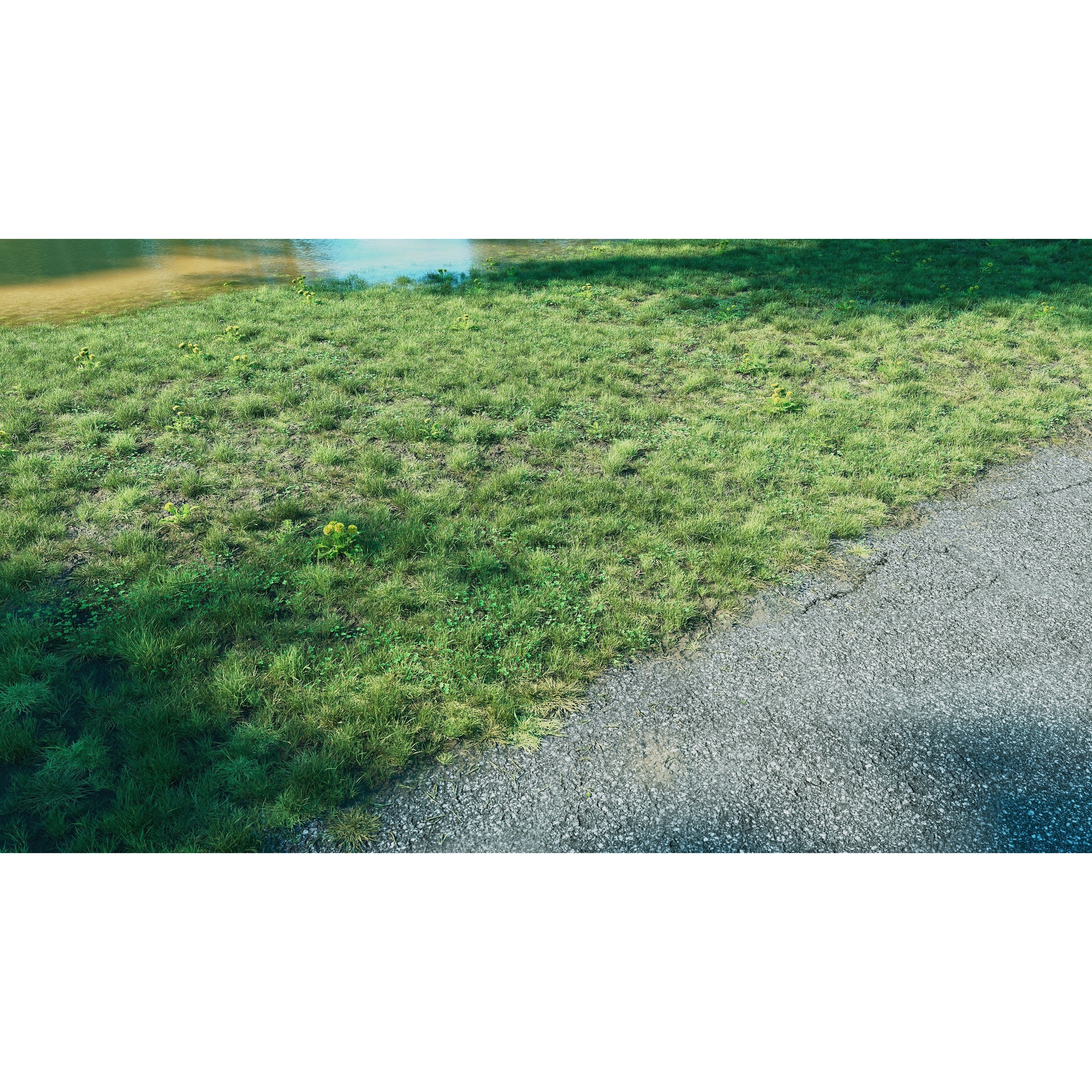CGrass v2 - Realistic Grass Pack 3D Model - View 5
