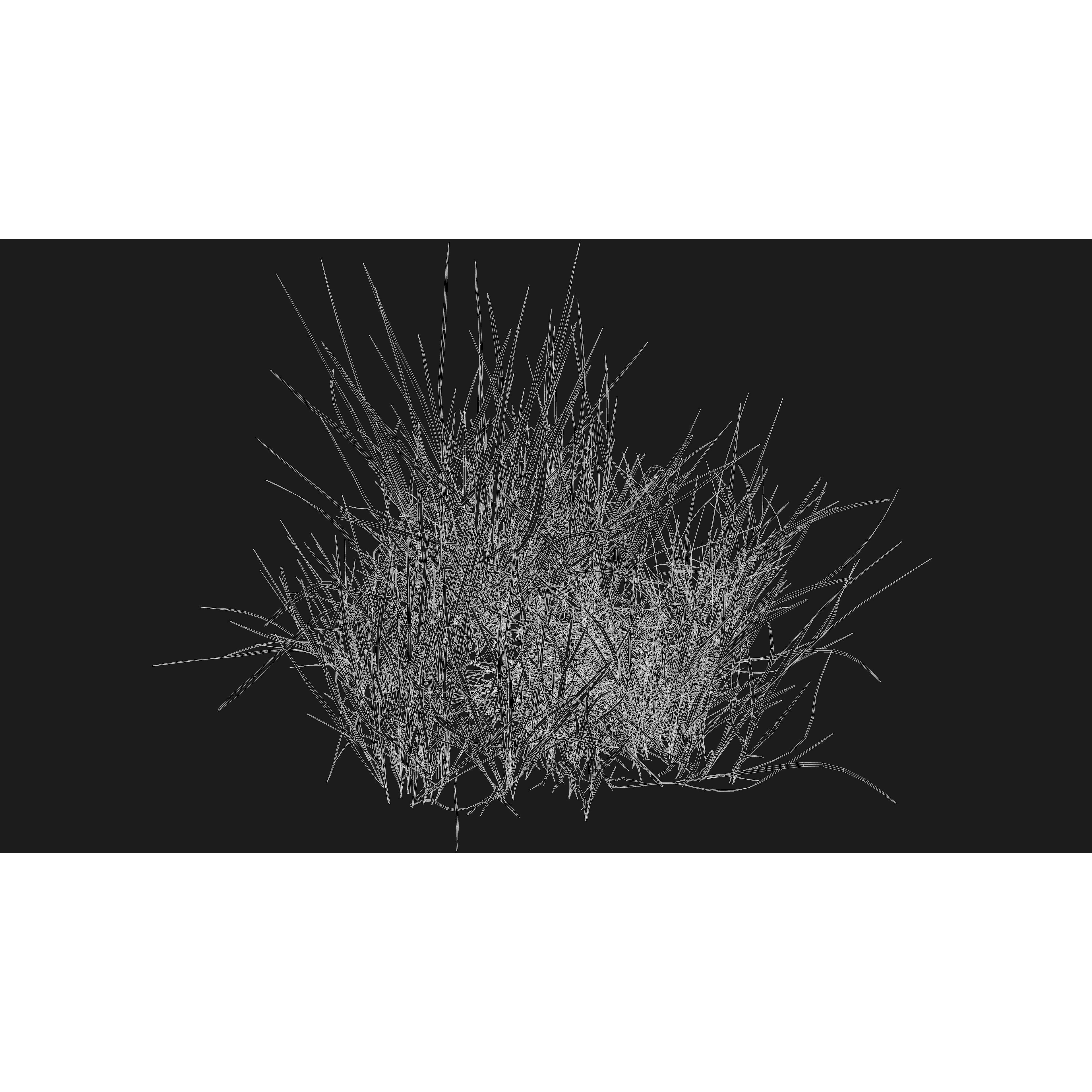 CGrass v2 - Realistic Grass Pack 3D Model - View 58