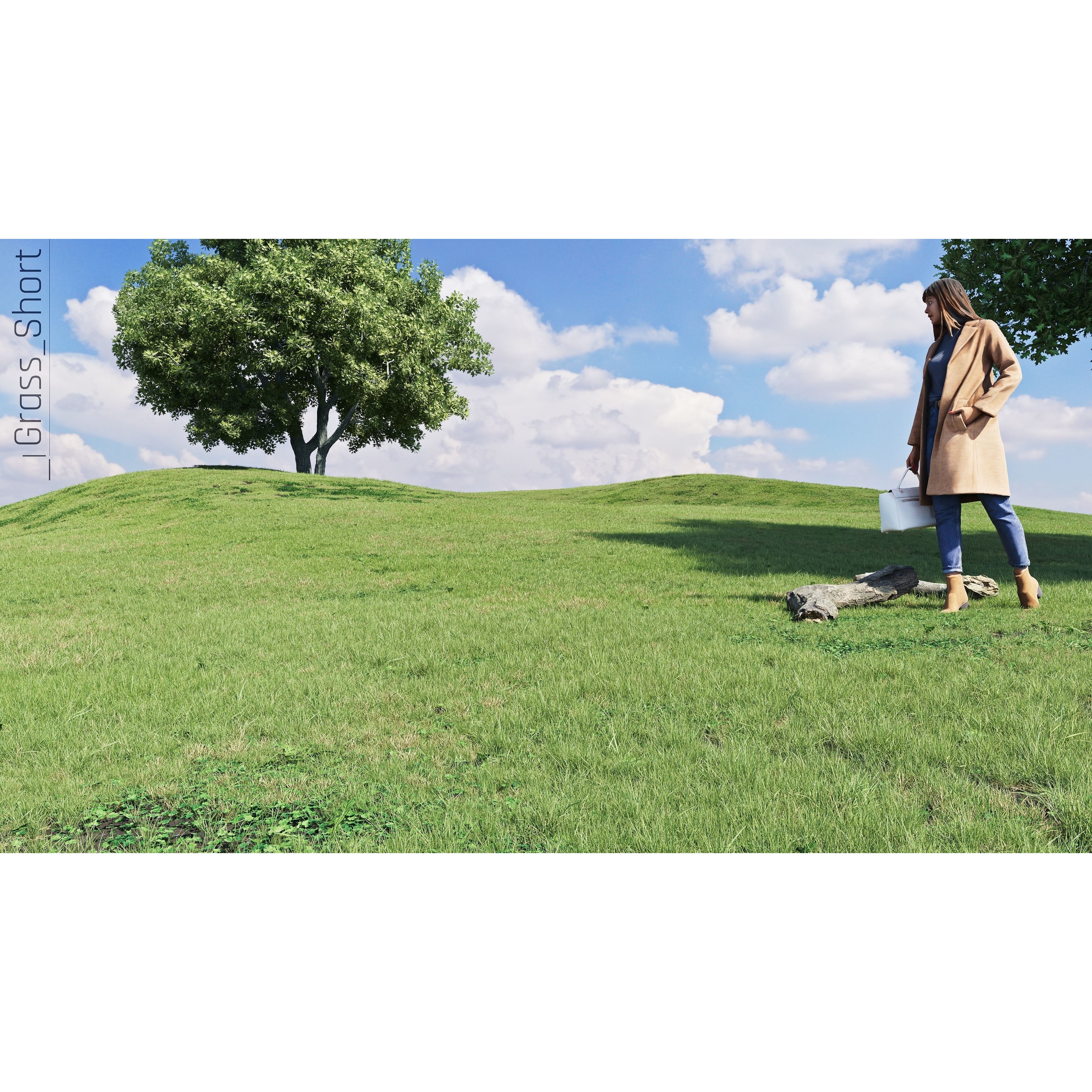 CGrass v2 - Realistic Grass Pack 3D Model - View 6