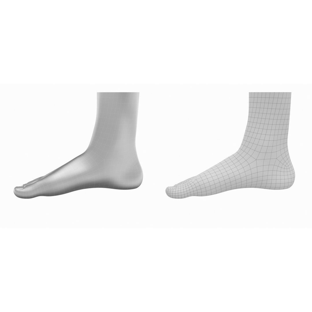 Human Feet 3D Model – Realistic Base Mesh, FBX & More - View 10