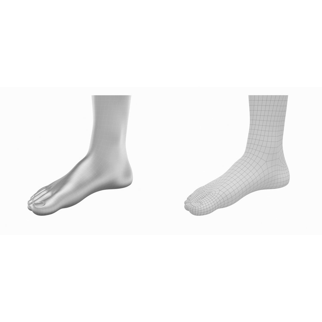 Human Feet 3D Model – Realistic Base Mesh, FBX & More - View 11