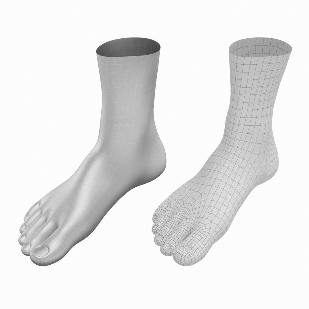Human Feet 3D Model – Realistic Base Mesh, FBX & More - View 13