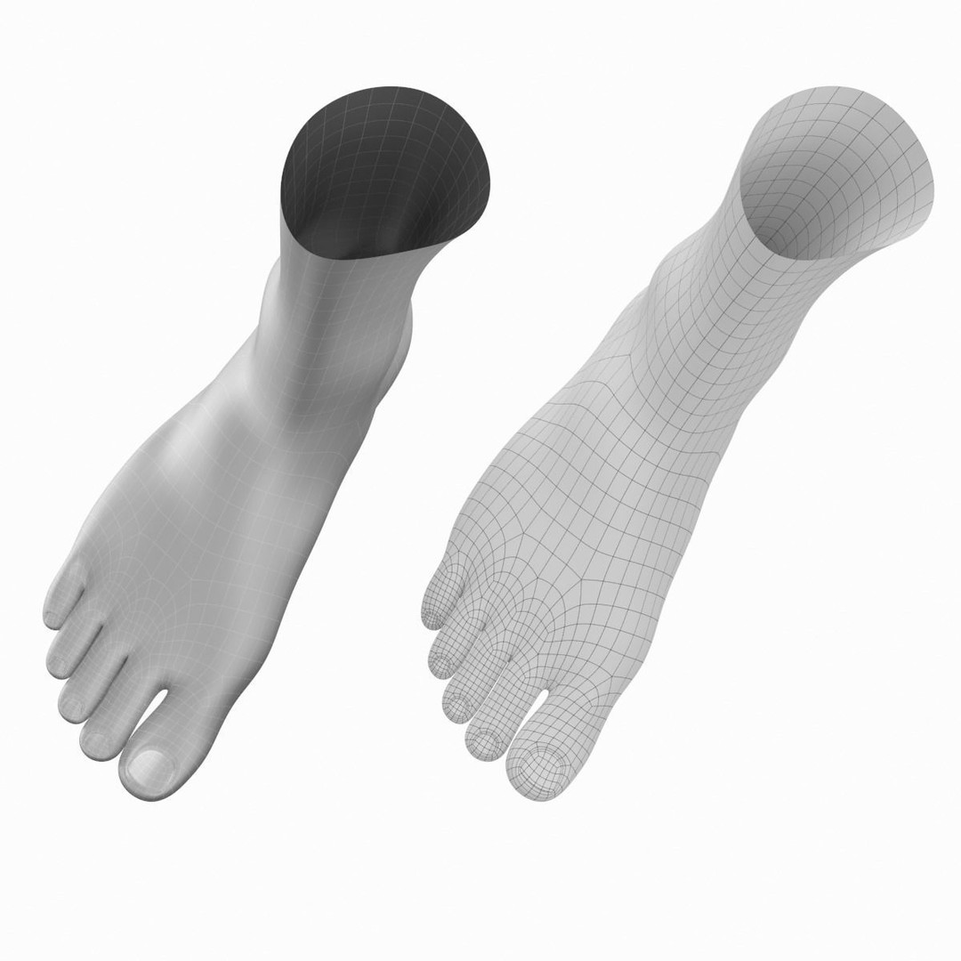 Human Feet 3D Model – Realistic Base Mesh, FBX & More - View 14