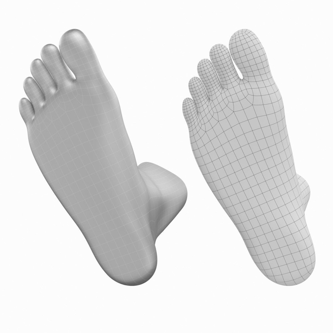 Human Feet 3D Model – Realistic Base Mesh, FBX & More - View 15