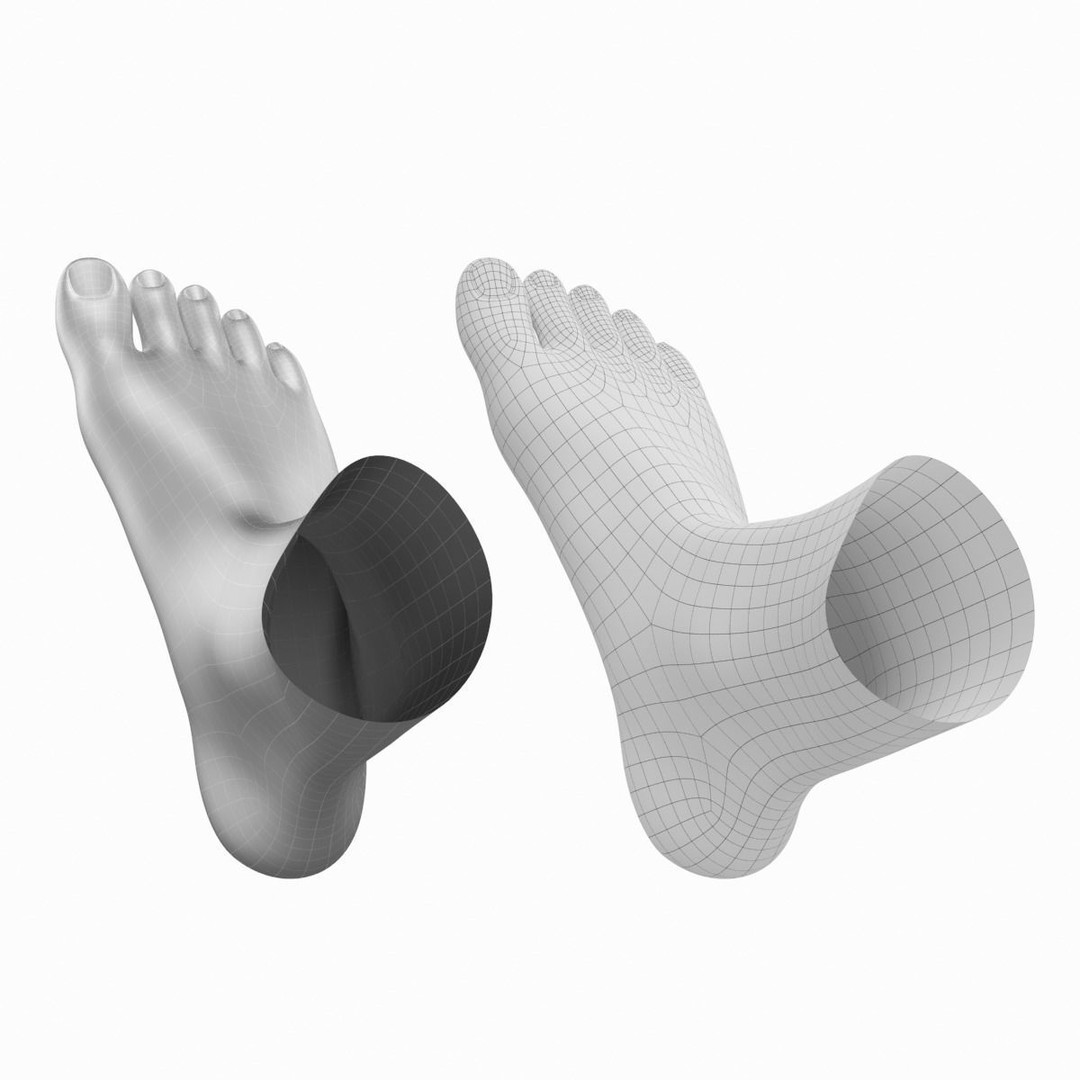 Human Feet 3D Model – Realistic Base Mesh, FBX & More - View 17