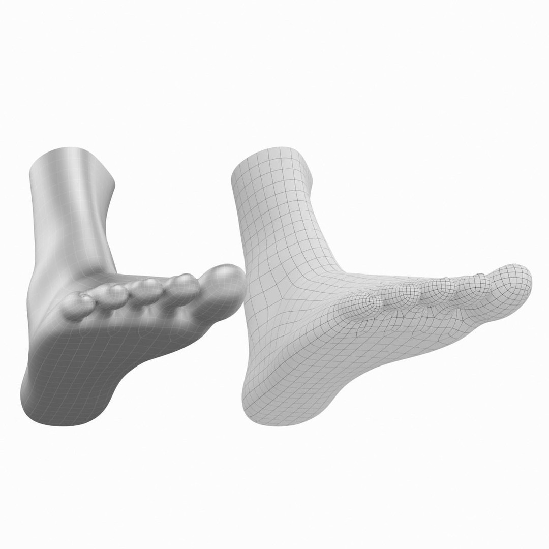 Human Feet 3D Model – Realistic Base Mesh, FBX & More - View 18