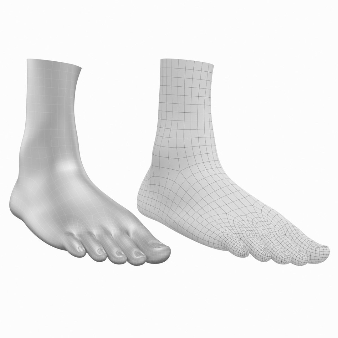 Human Feet 3D Model – Realistic Base Mesh, FBX & More - View 19