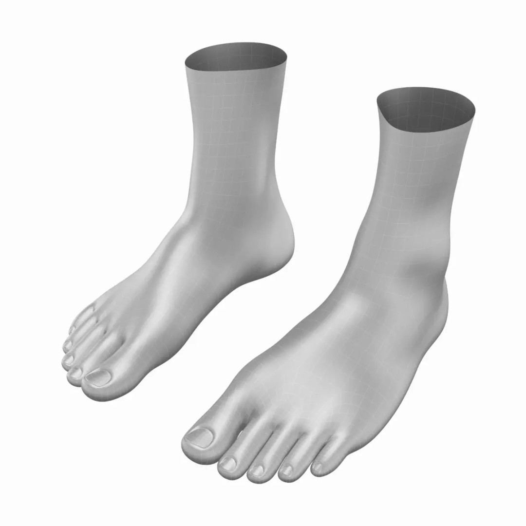 Human Feet 3D Model – Realistic Base Mesh, FBX & More - View 2