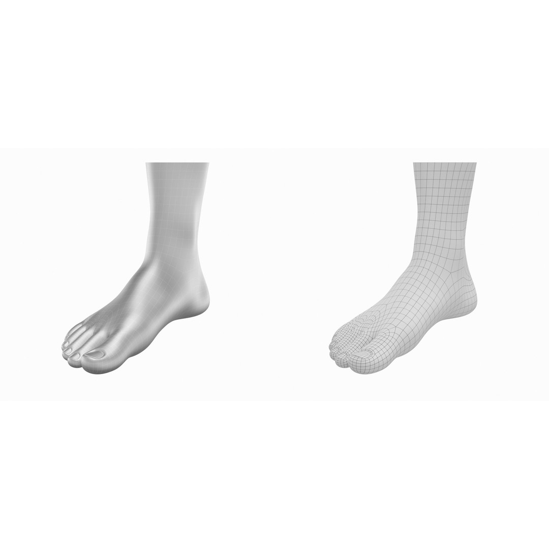 Human Feet 3D Model – Realistic Base Mesh, FBX & More - View 3