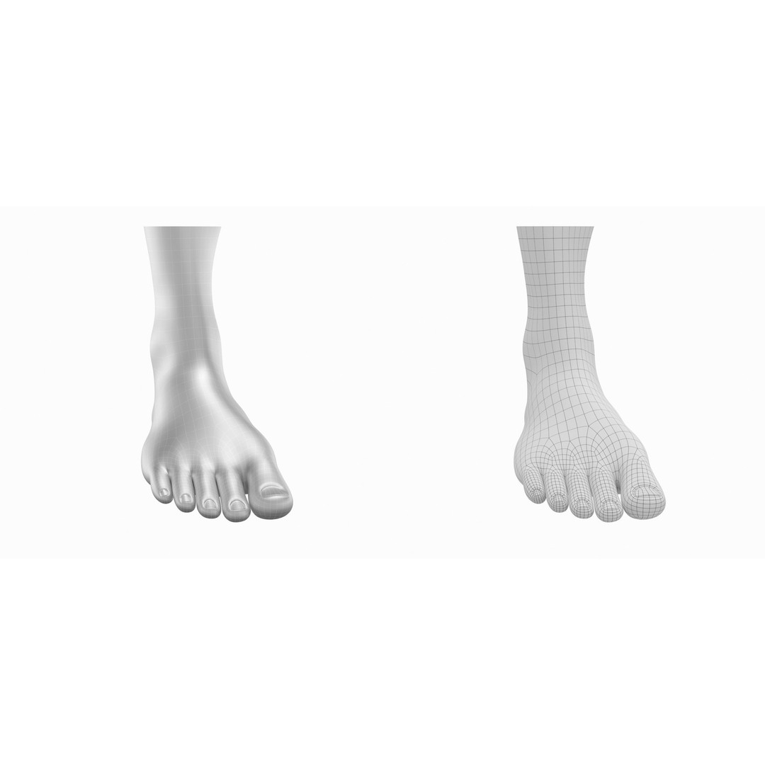 Human Feet 3D Model – Realistic Base Mesh, FBX & More - View 4