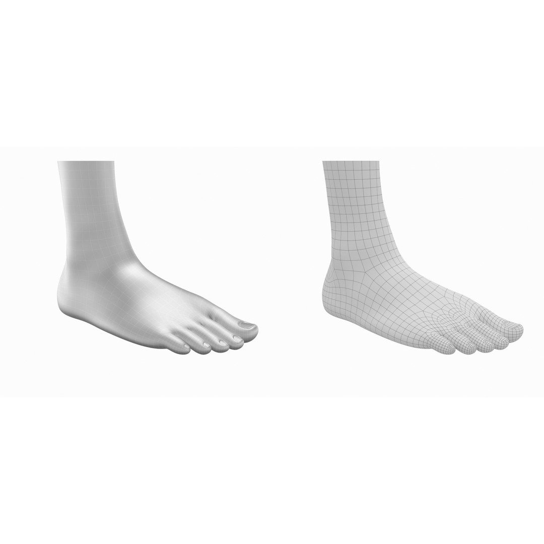 Human Feet 3D Model – Realistic Base Mesh, FBX & More - View 5