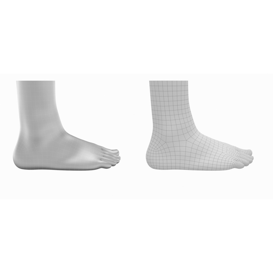 Human Feet 3D Model – Realistic Base Mesh, FBX & More - View 6