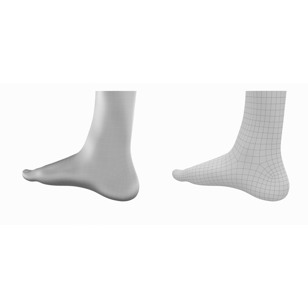 Human Feet 3D Model – Realistic Base Mesh, FBX & More - View 9