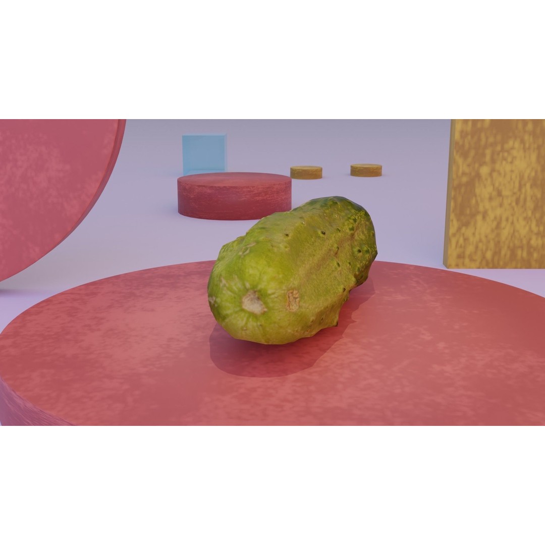 Cucumber 3D Model – Low-Poly Photorealistic Vegetable, FBX, OBJ - View 10