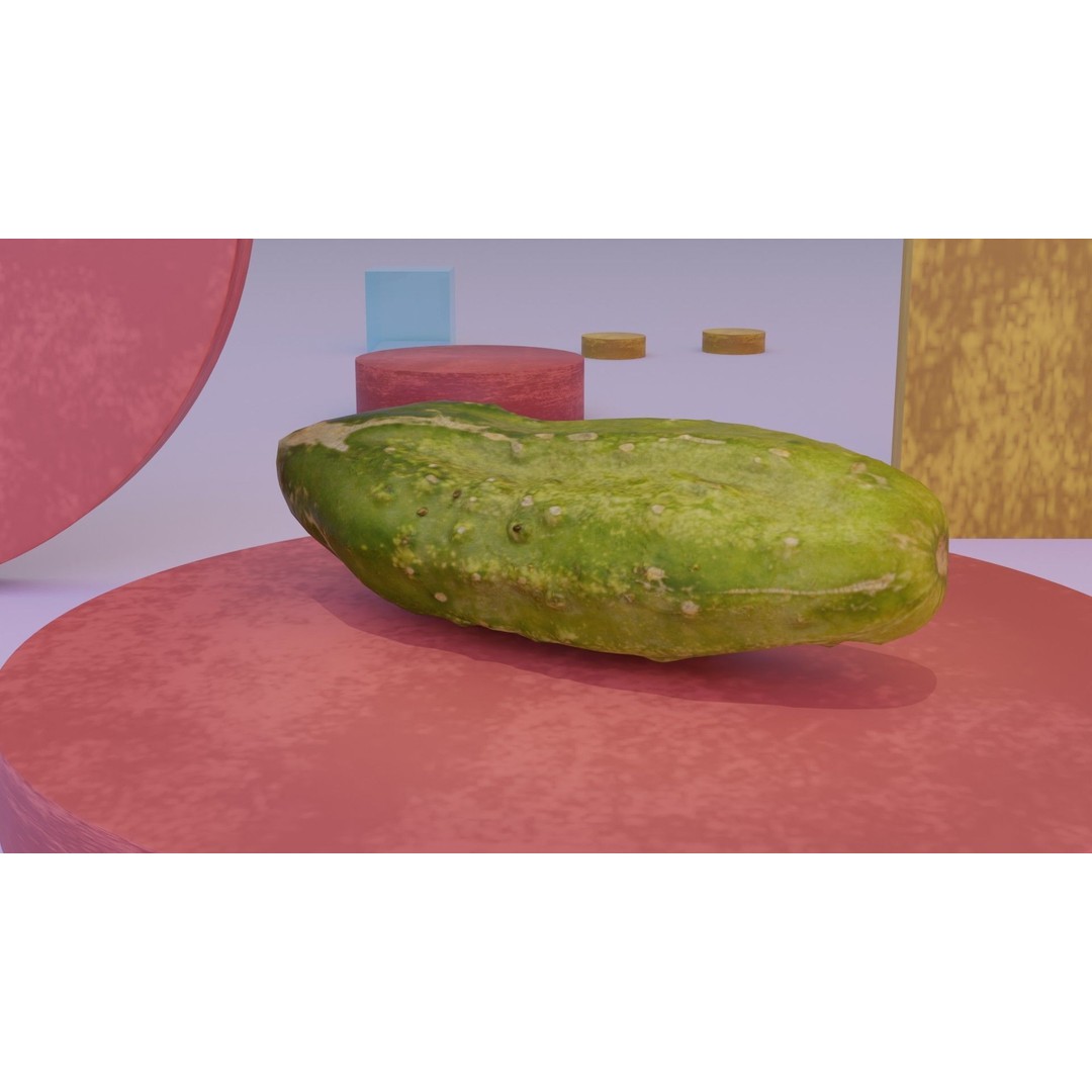 Cucumber 3D Model – Low-Poly Photorealistic Vegetable, FBX, OBJ - View 12