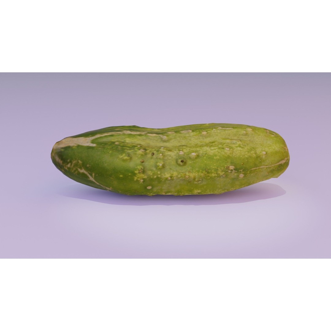 Cucumber 3D Model – Low-Poly Photorealistic Vegetable, FBX, OBJ - View 13