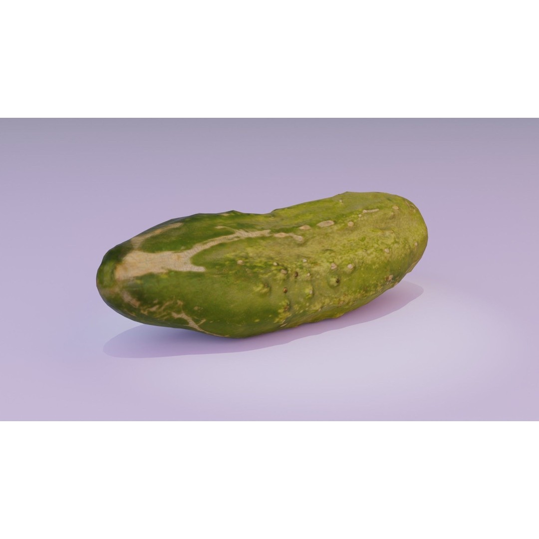 Cucumber 3D Model – Low-Poly Photorealistic Vegetable, FBX, OBJ - View 14