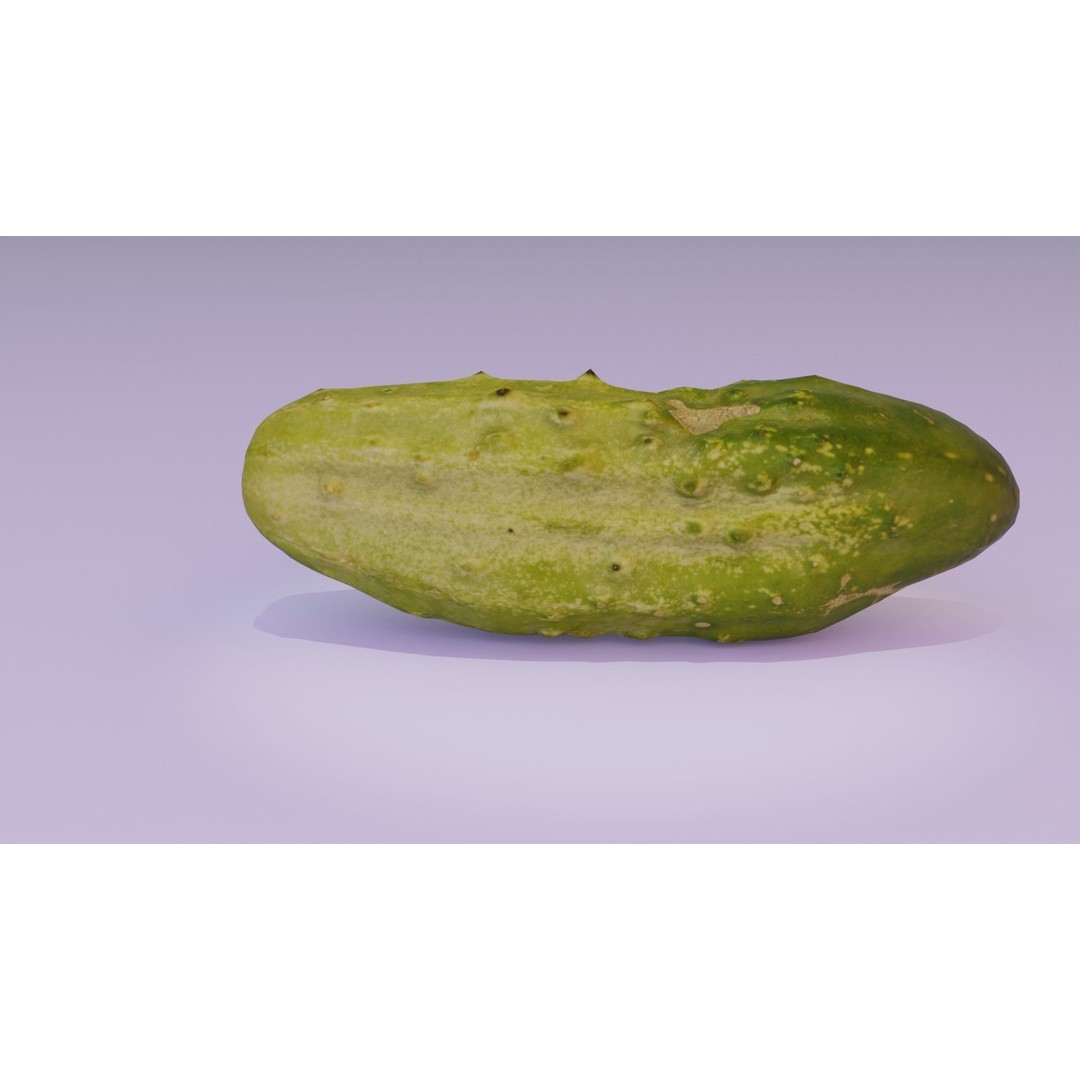 Cucumber 3D Model – Low-Poly Photorealistic Vegetable, FBX, OBJ - View 17
