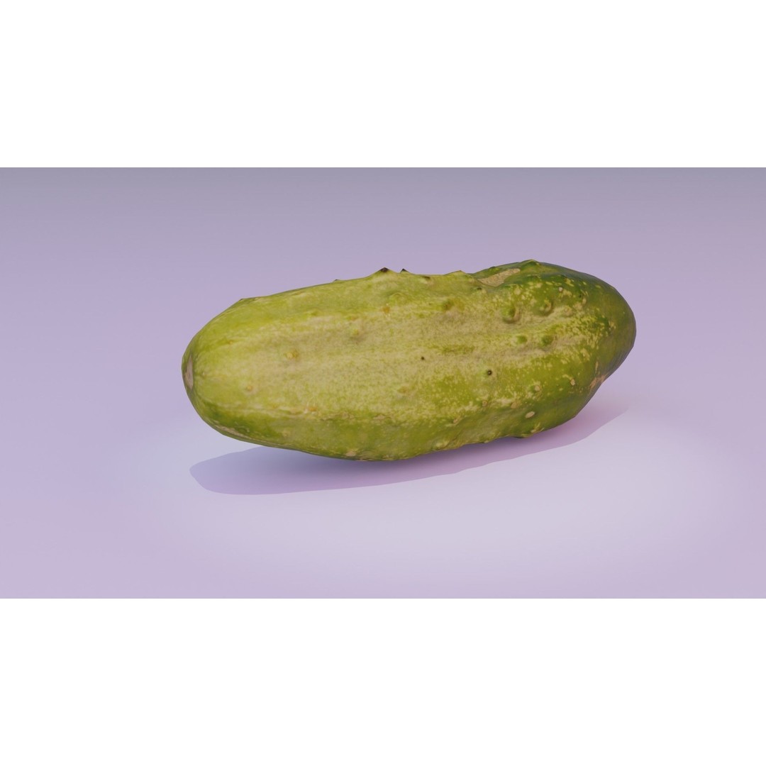 Cucumber 3D Model – Low-Poly Photorealistic Vegetable, FBX, OBJ - View 18