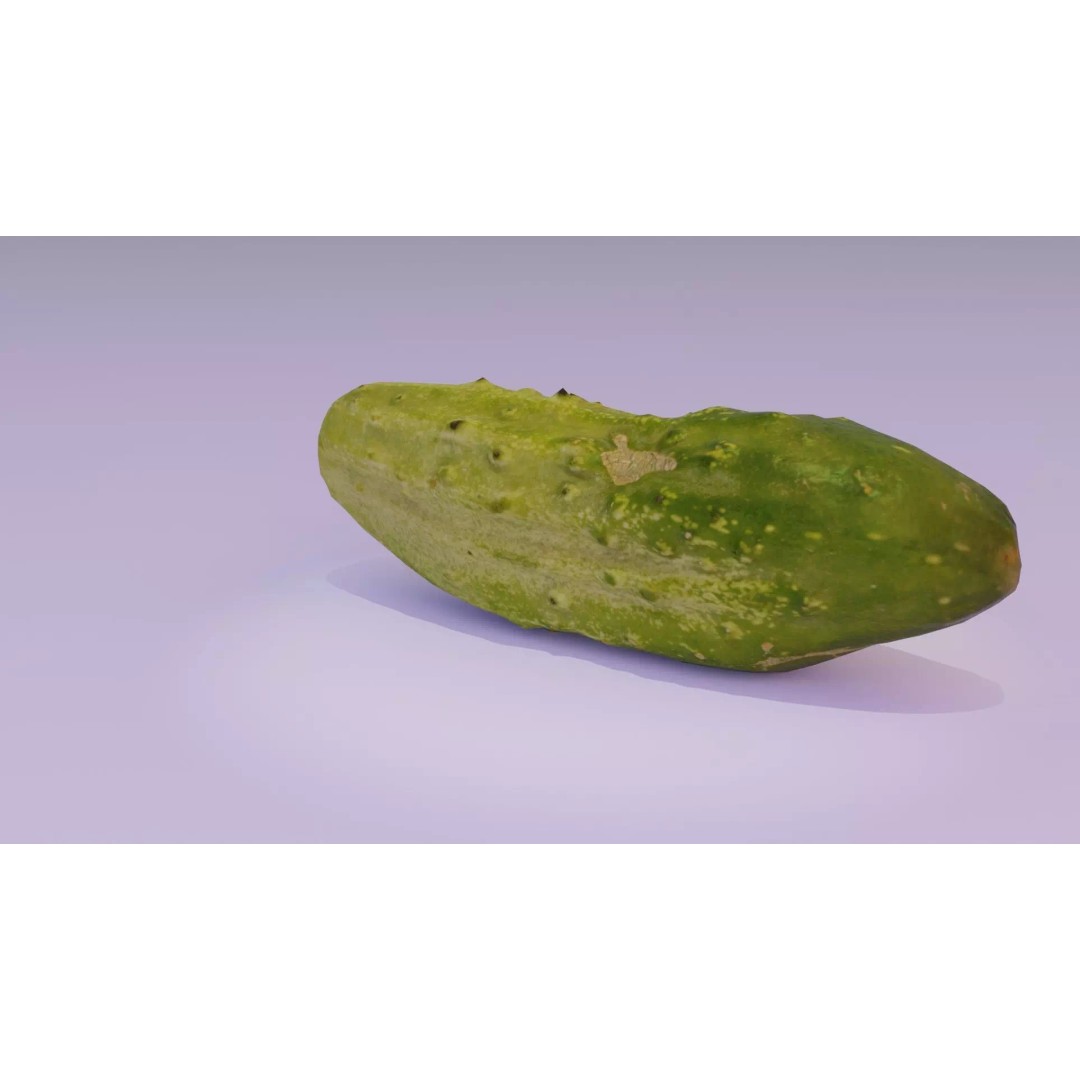 Cucumber 3D Model – Low-Poly Photorealistic Vegetable, FBX, OBJ - View 2