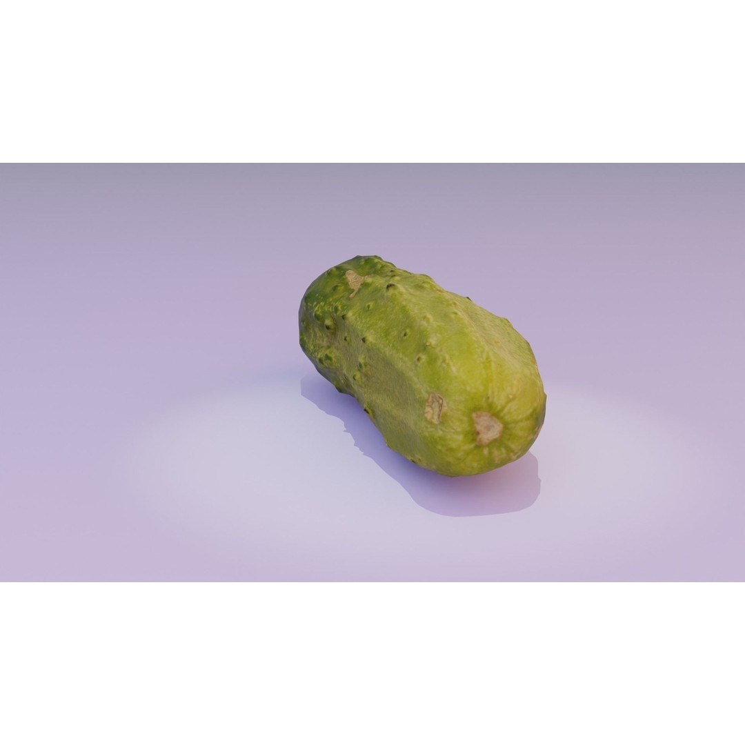 Cucumber 3D Model – Low-Poly Photorealistic Vegetable, FBX, OBJ - View 20