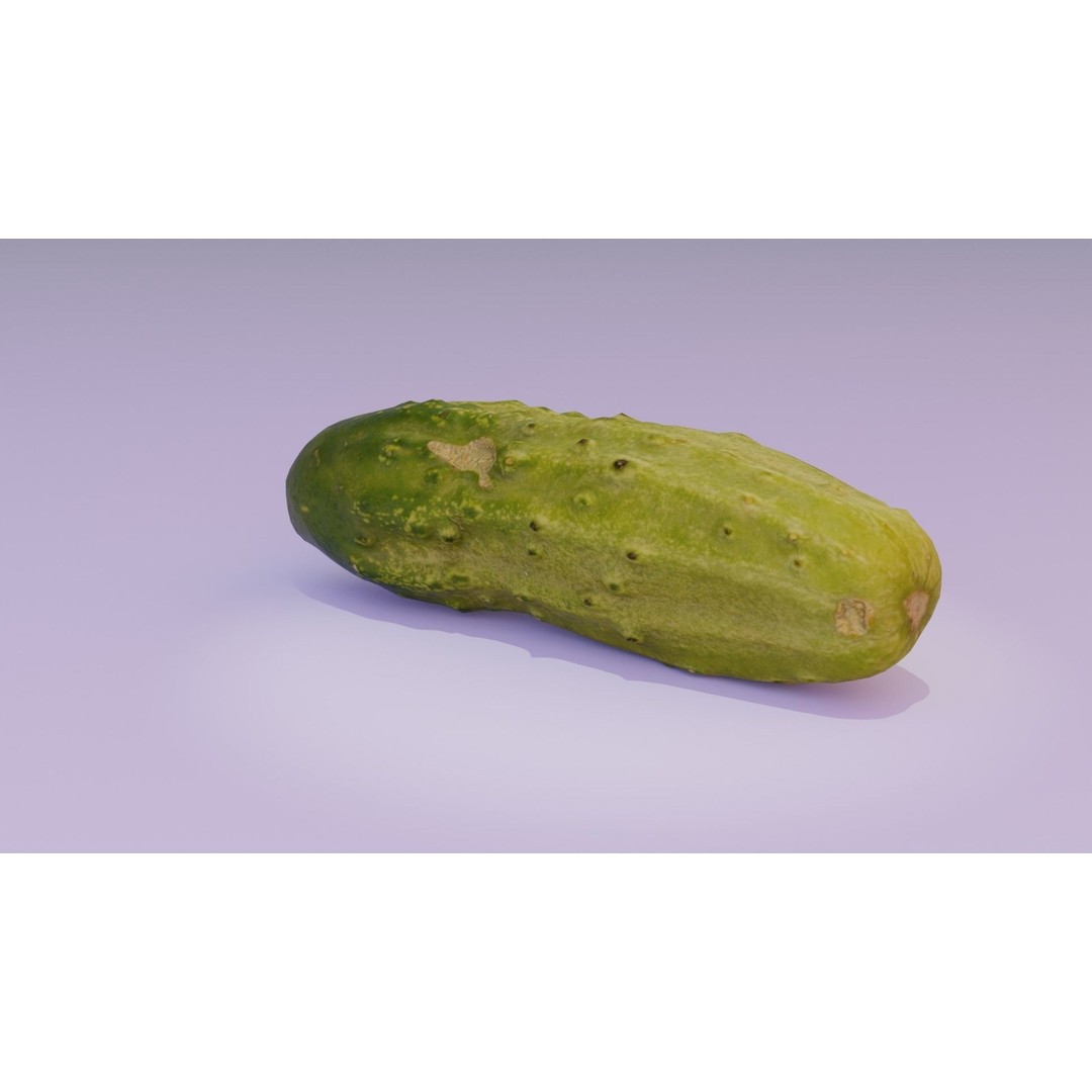 Cucumber 3D Model – Low-Poly Photorealistic Vegetable, FBX, OBJ - View 21