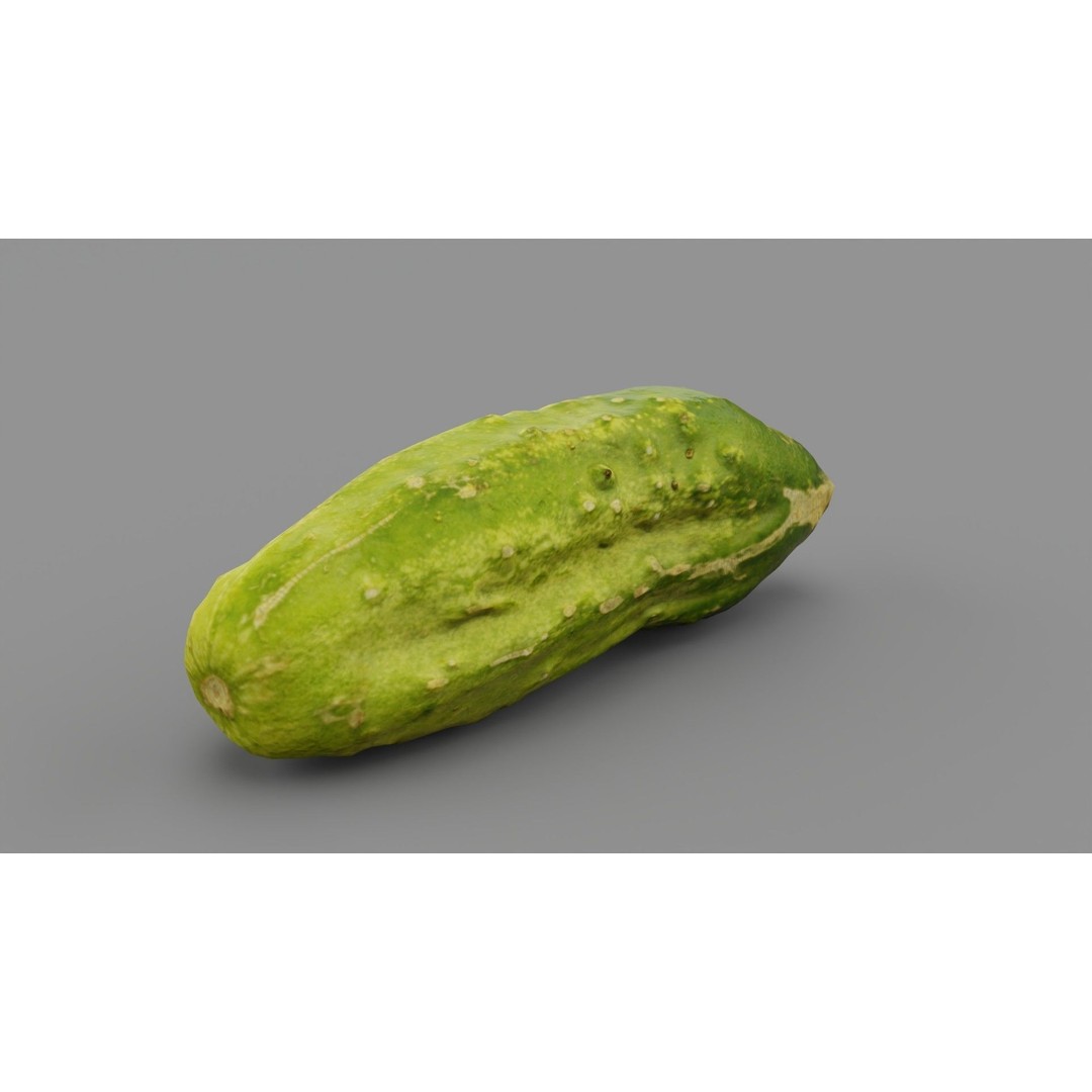 Cucumber 3D Model – Low-Poly Photorealistic Vegetable, FBX, OBJ - View 28