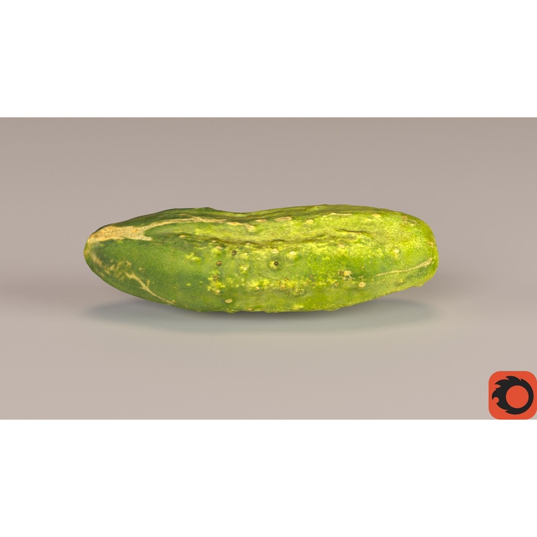 Cucumber 3D Model – Low-Poly Photorealistic Vegetable, FBX, OBJ - View 32