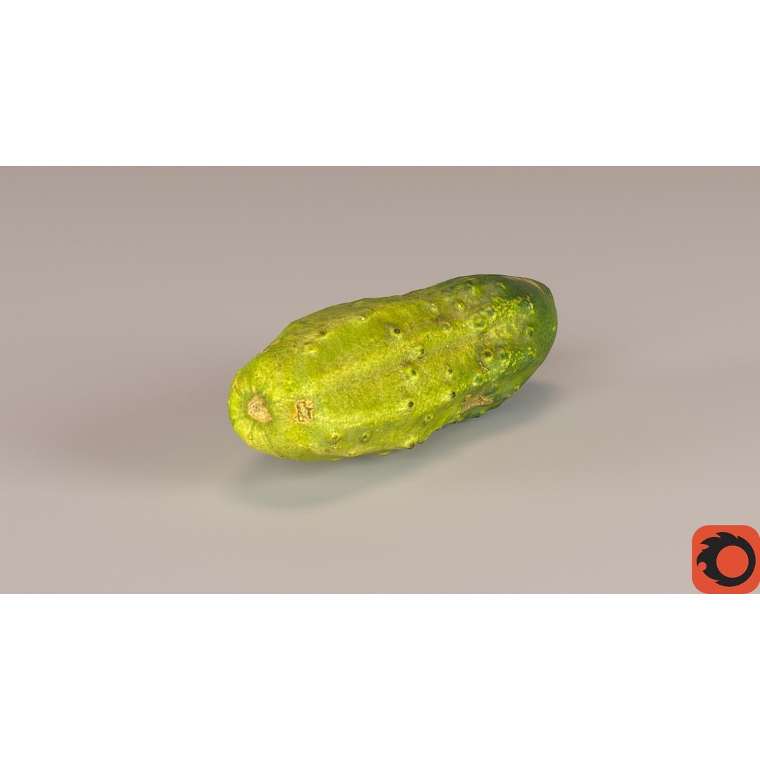 Cucumber 3D Model – Low-Poly Photorealistic Vegetable, FBX, OBJ - View 34