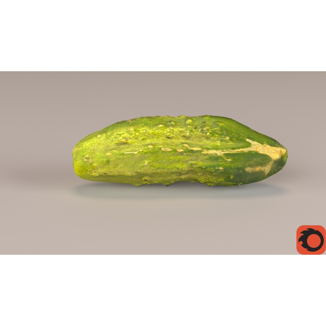 Cucumber 3D Model – Low-Poly Photorealistic Vegetable, FBX, OBJ - View 35
