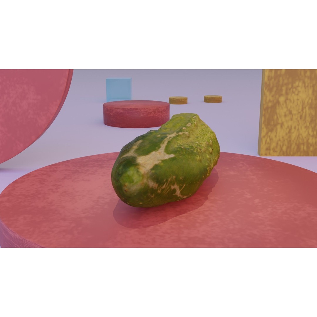 Cucumber 3D Model – Low-Poly Photorealistic Vegetable, FBX, OBJ - View 5