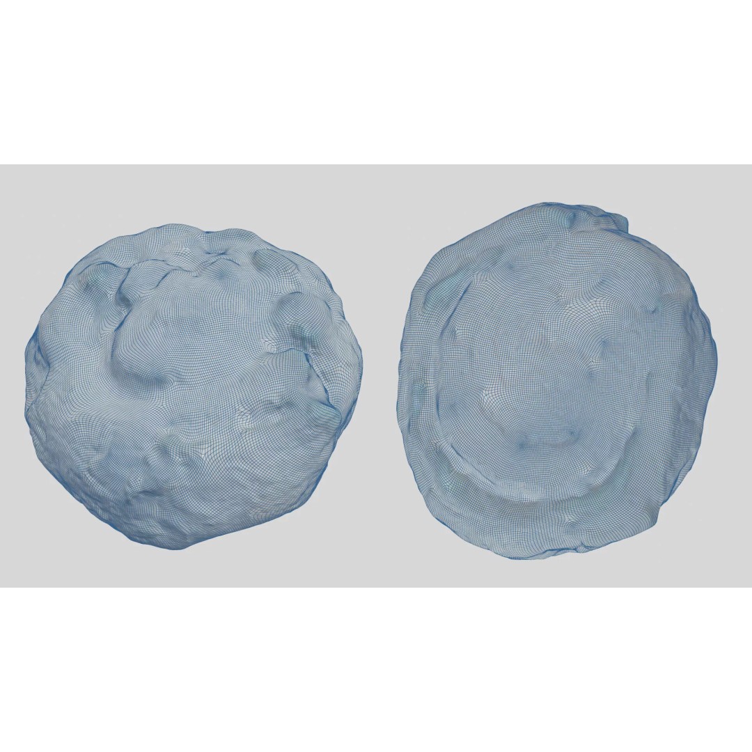 Sweet Swirl Pastry Bun 3D Model – Low Poly PBR Food Asset, FBX - View 5
