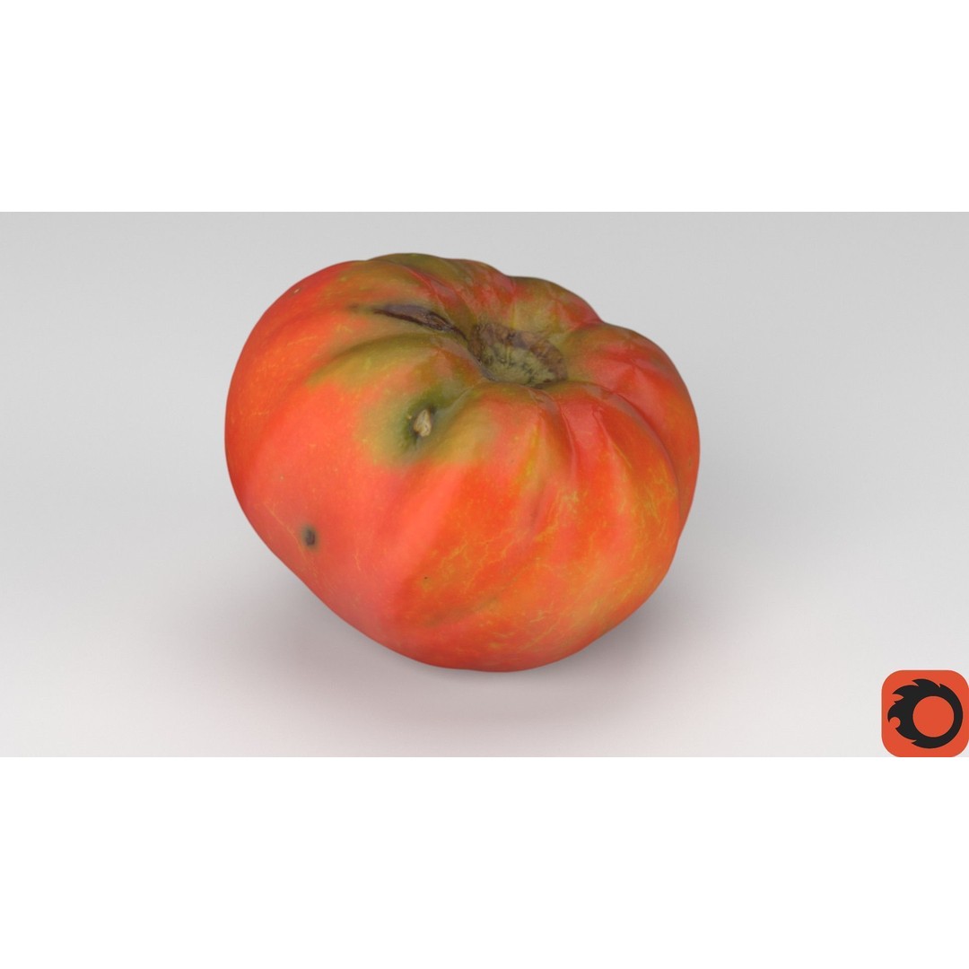 Photorealistic Tomato 3D Model – High Poly PBR Asset, FBX, OBJ - View 34